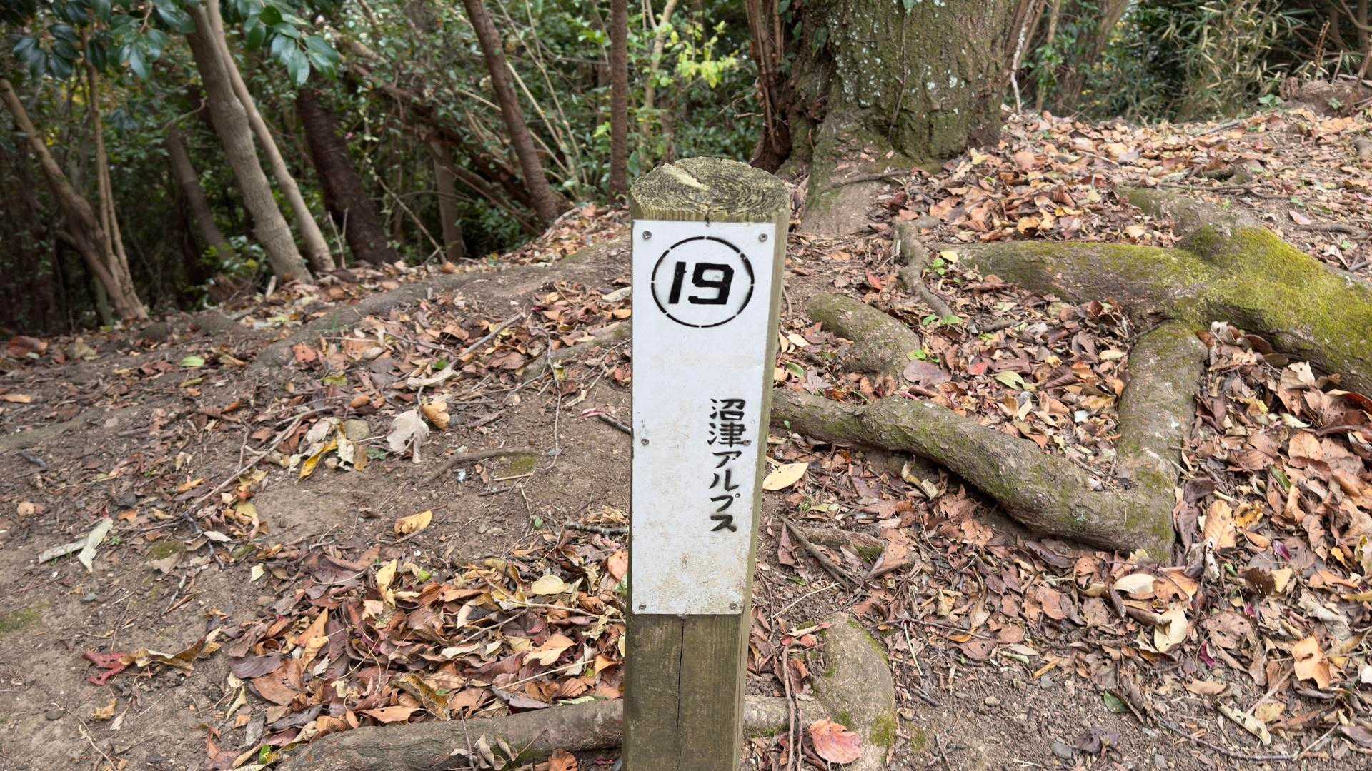 沼津アルプス（香貫山・横山・徳倉山・鷲頭山・大平山） の写真 13