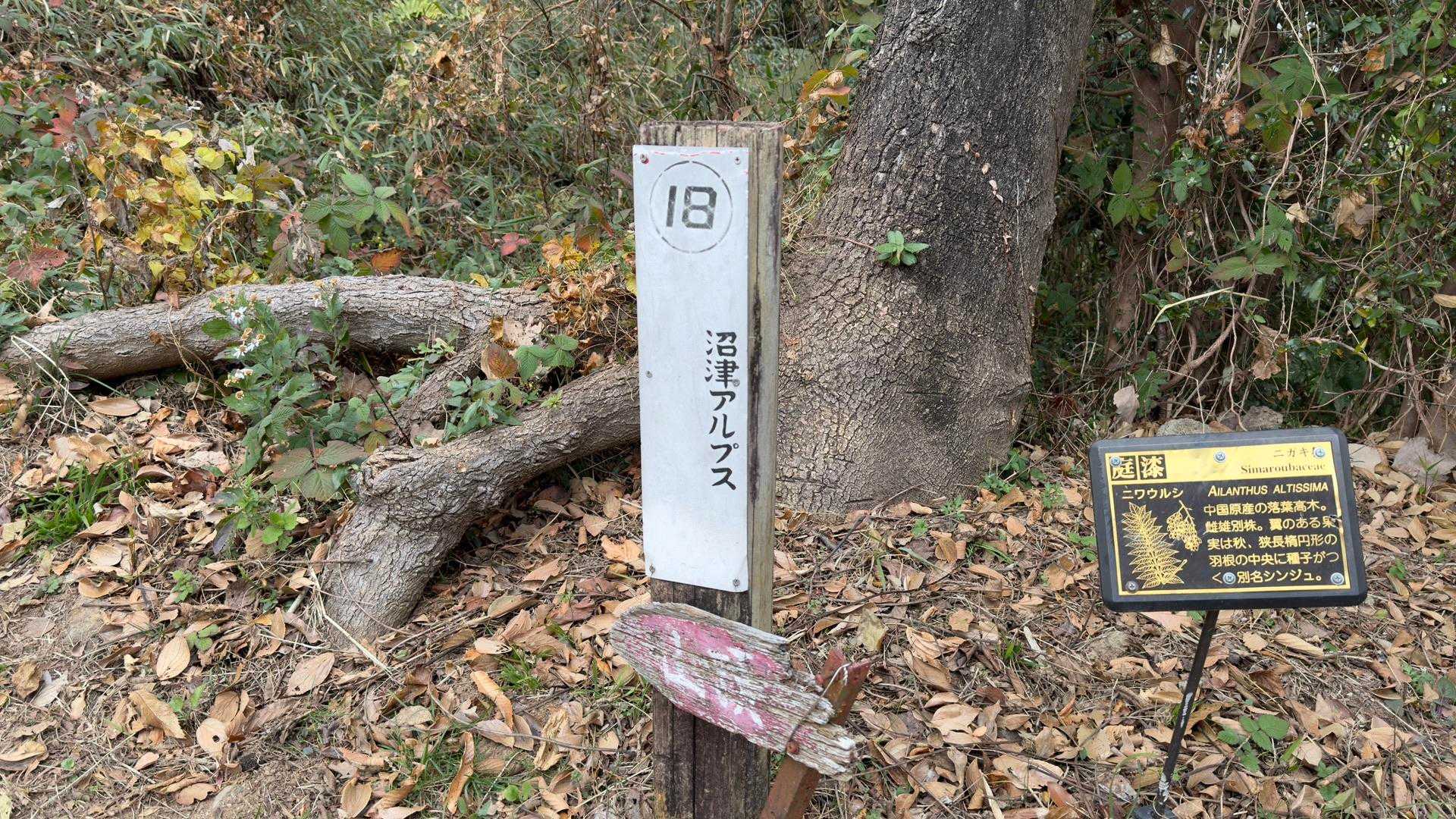 沼津アルプス（香貫山・横山・徳倉山・鷲頭山・大平山） の写真 12