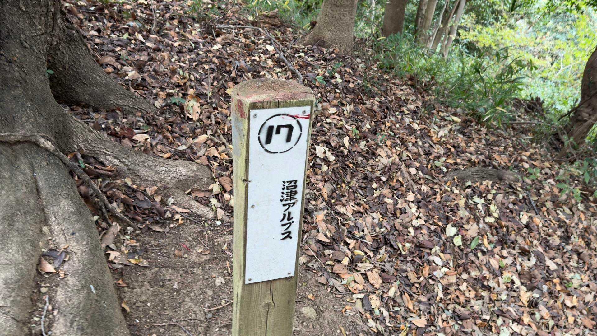 沼津アルプス（香貫山・横山・徳倉山・鷲頭山・大平山） の写真 11