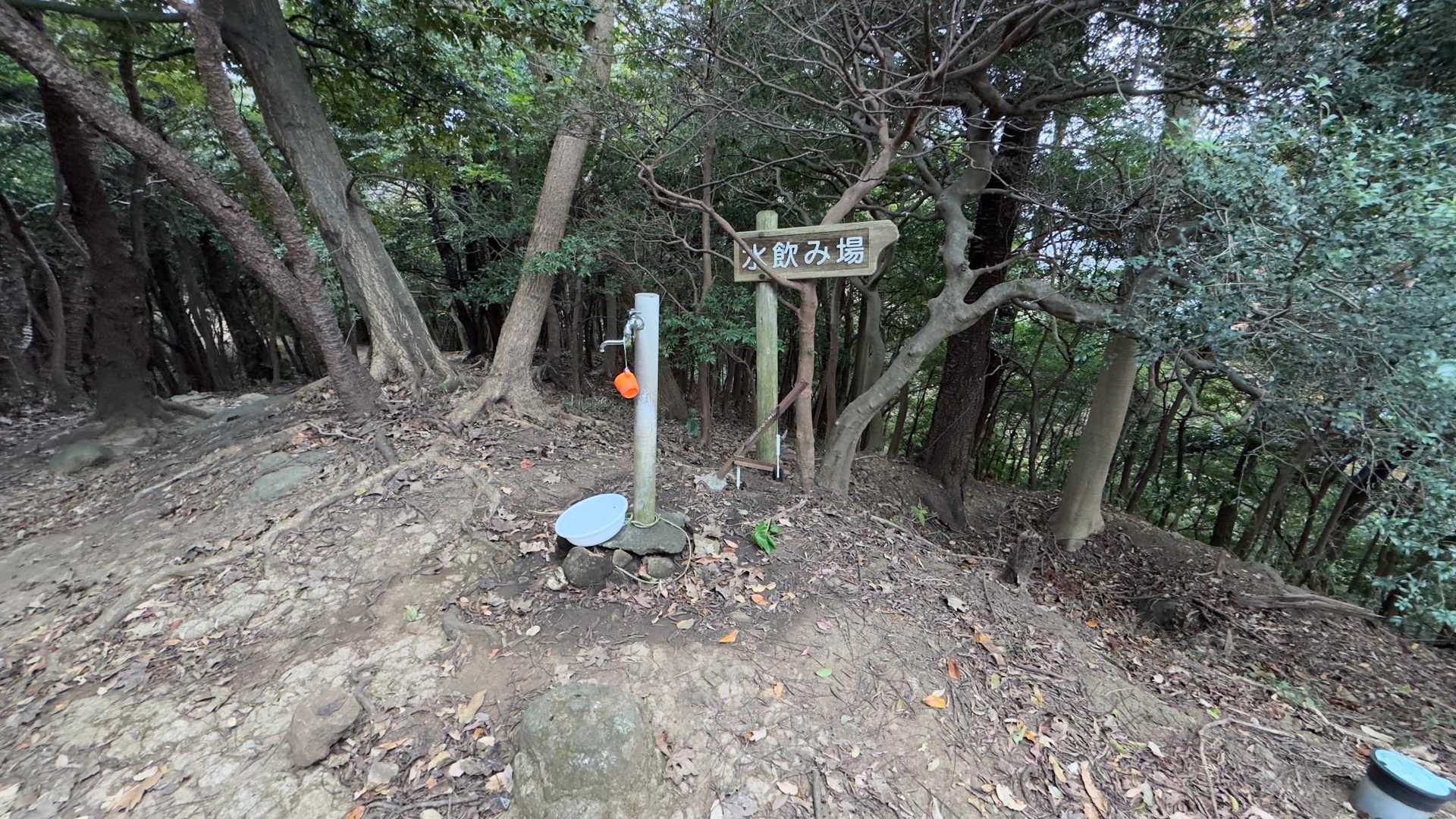 沼津アルプス（香貫山・横山・徳倉山・鷲頭山・大平山） の写真 6