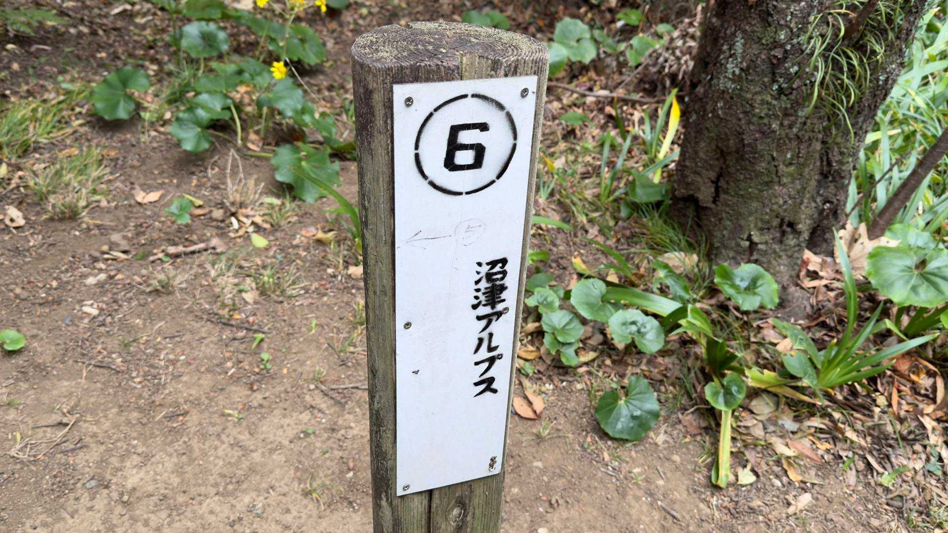 沼津アルプス（香貫山・横山・徳倉山・鷲頭山・大平山） の写真 3