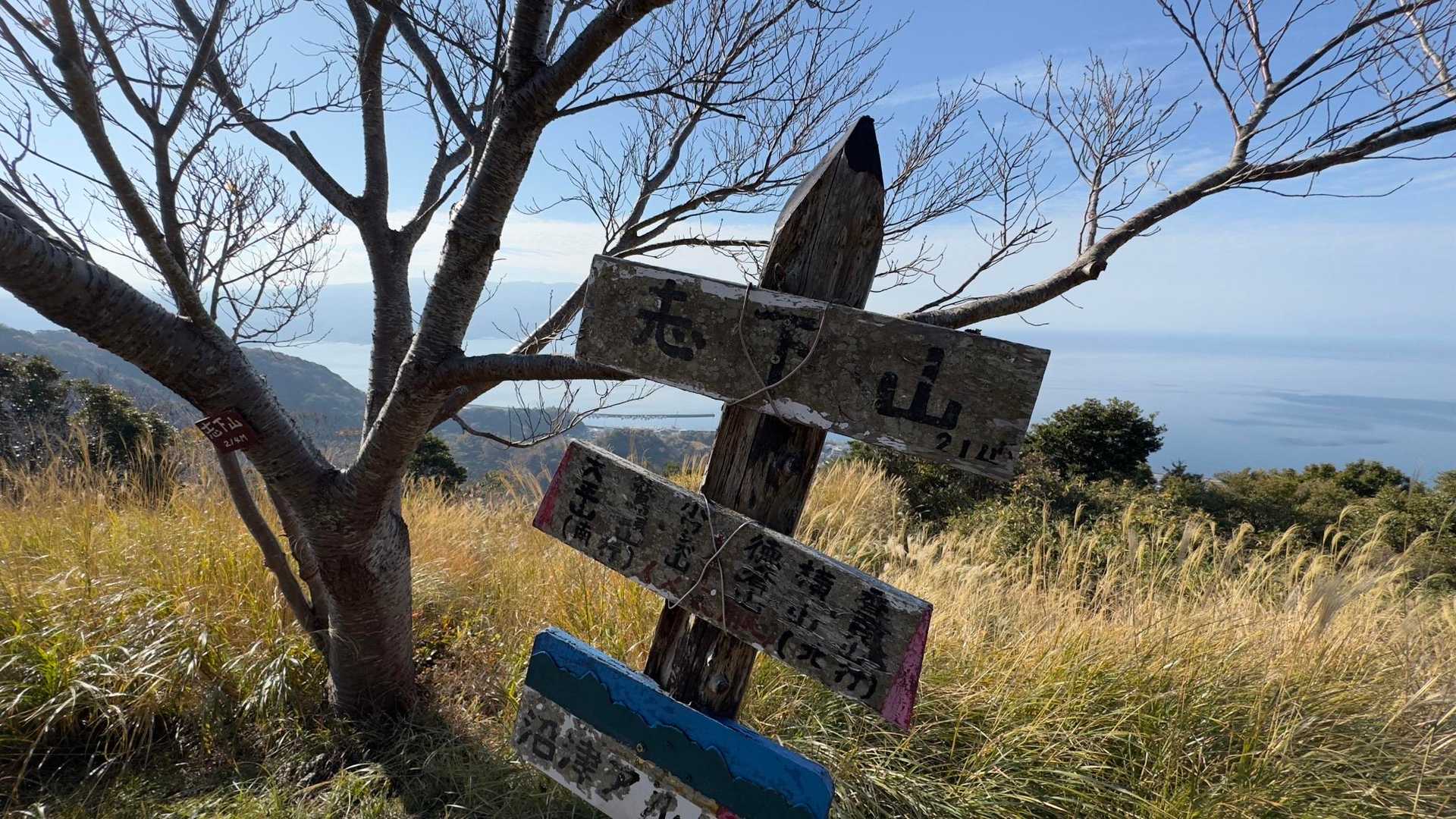 沼津アルプス（香貫山・横山・徳倉山・鷲頭山・大平山） の写真 34