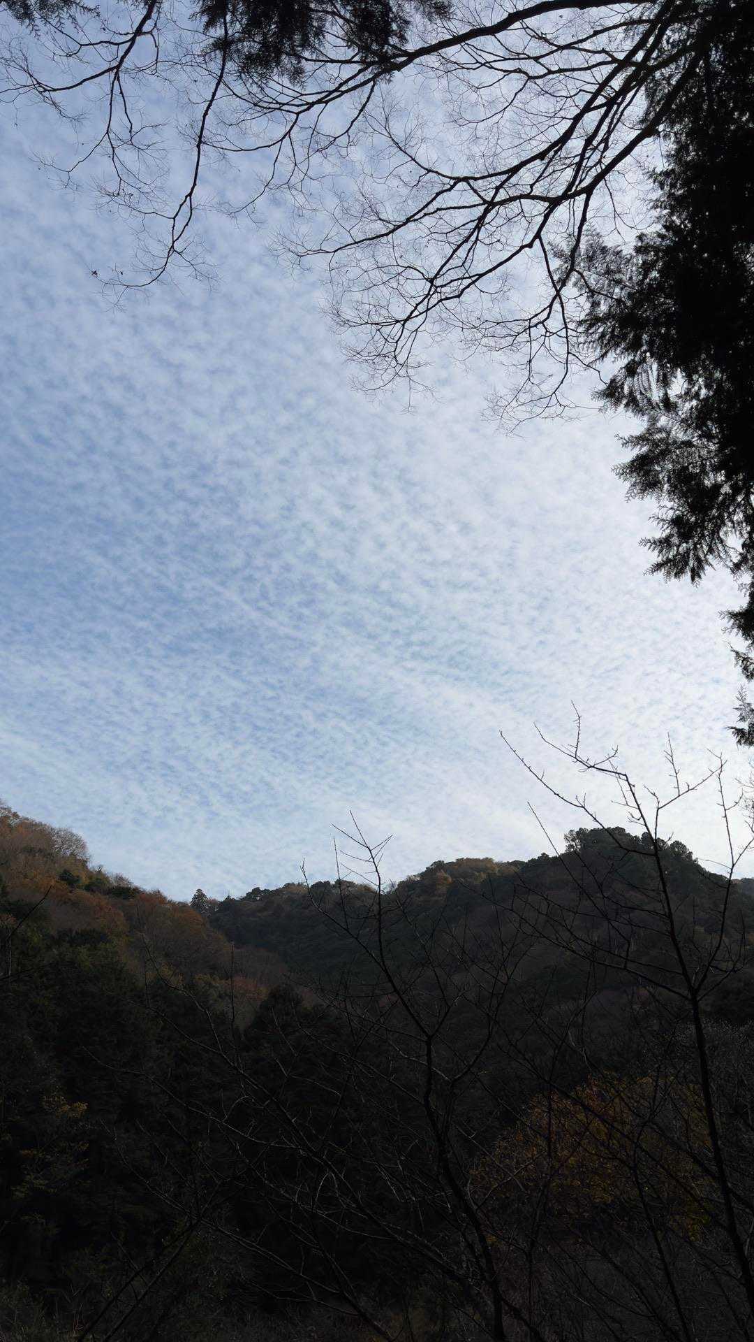 沼津アルプス（香貫山・横山・徳倉山・鷲頭山・大平山） の写真 47