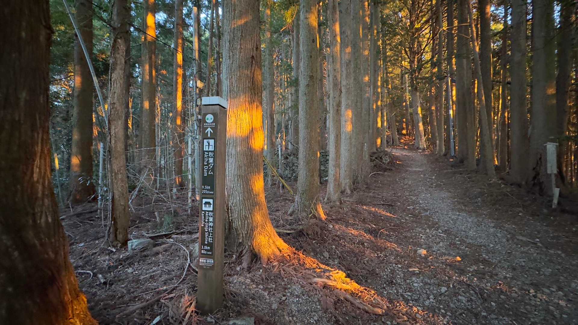 秋葉山上社へ初詣ハイク の写真 5