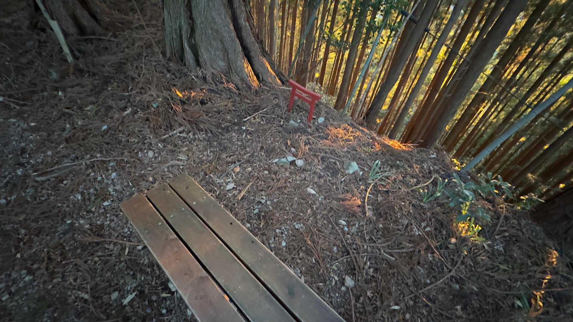 秋葉山上社へ初詣ハイク の写真 6