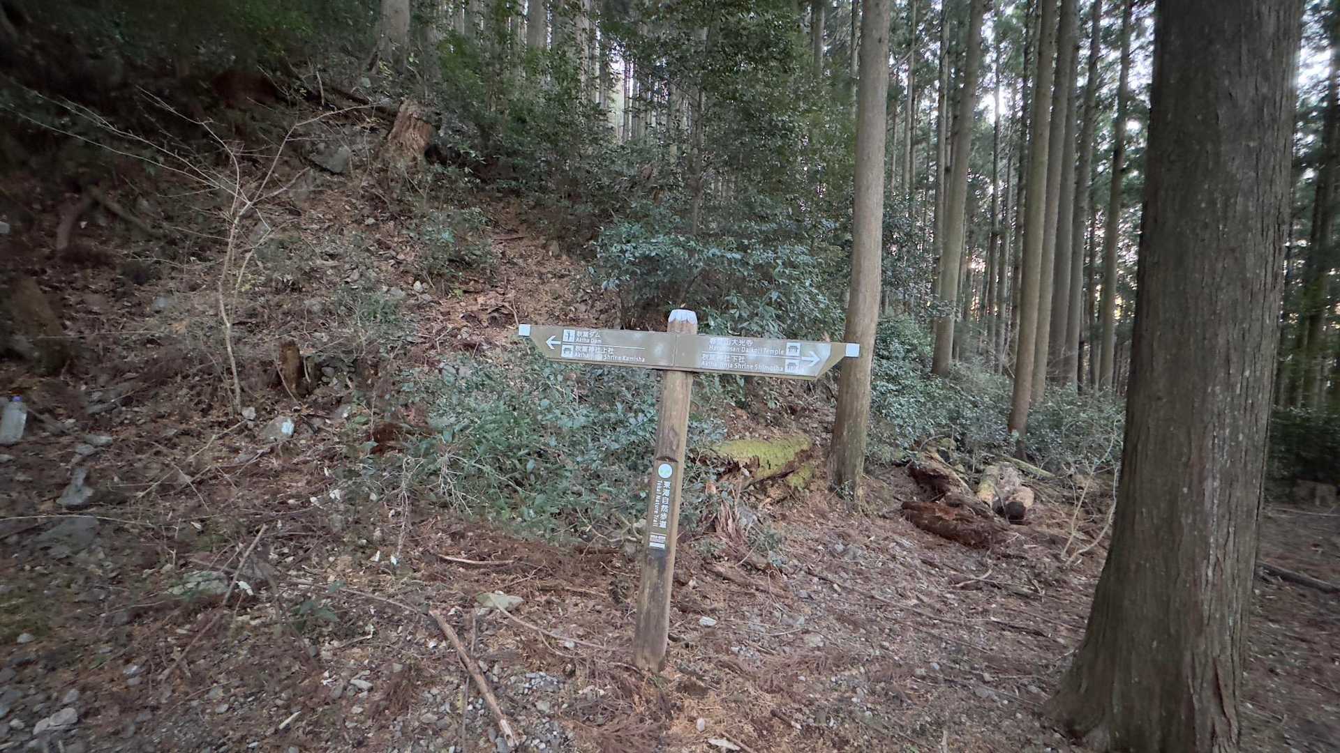秋葉山上社へ初詣ハイク の写真 7