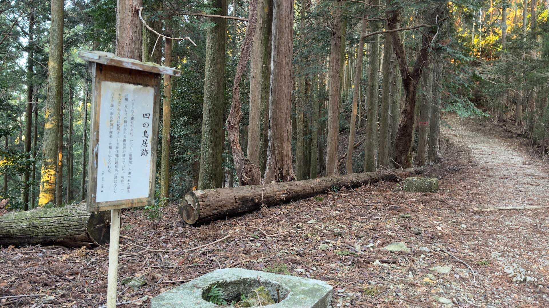 秋葉山上社へ初詣ハイク の写真 8