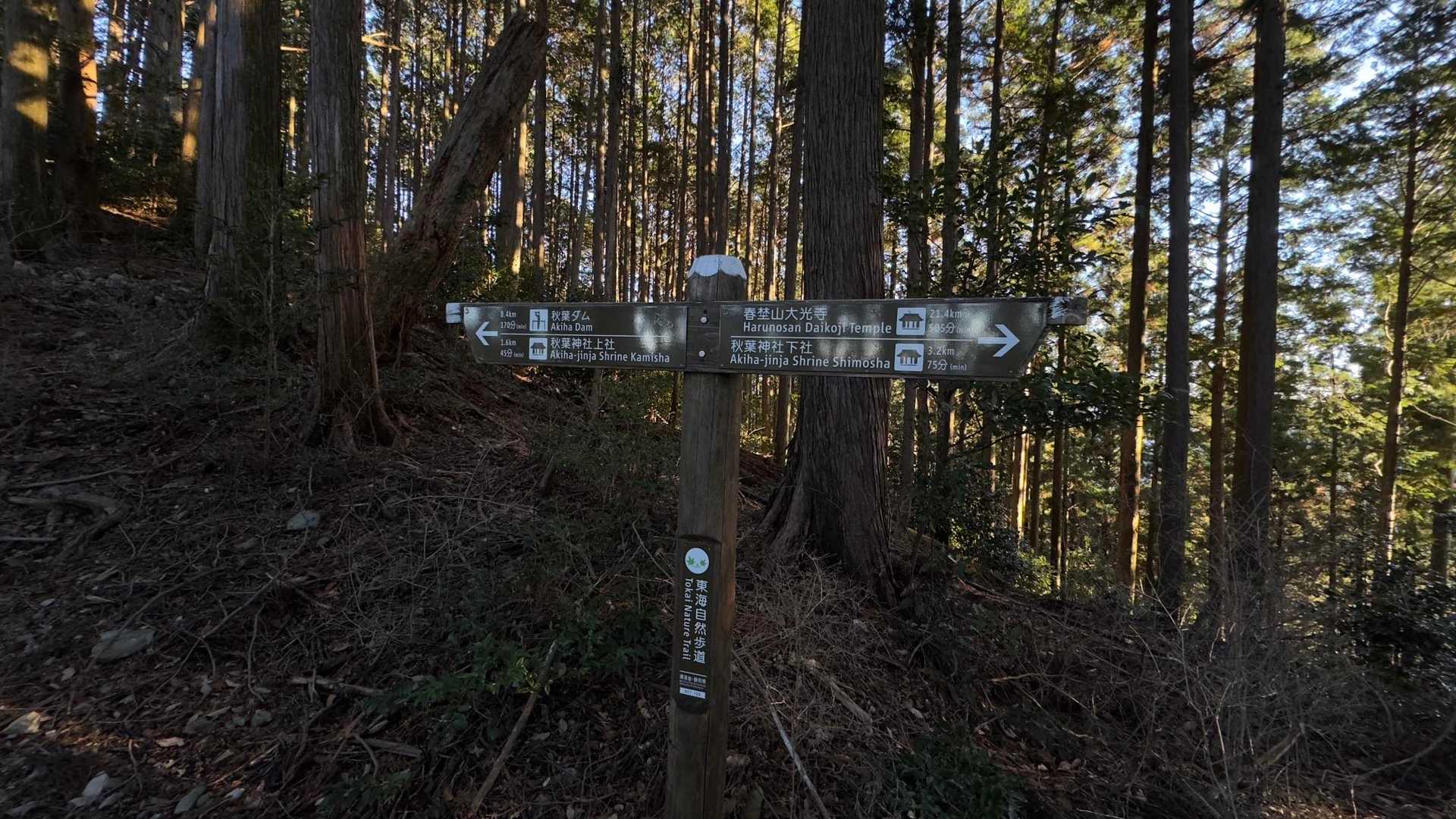 秋葉山上社へ初詣ハイク の写真 12