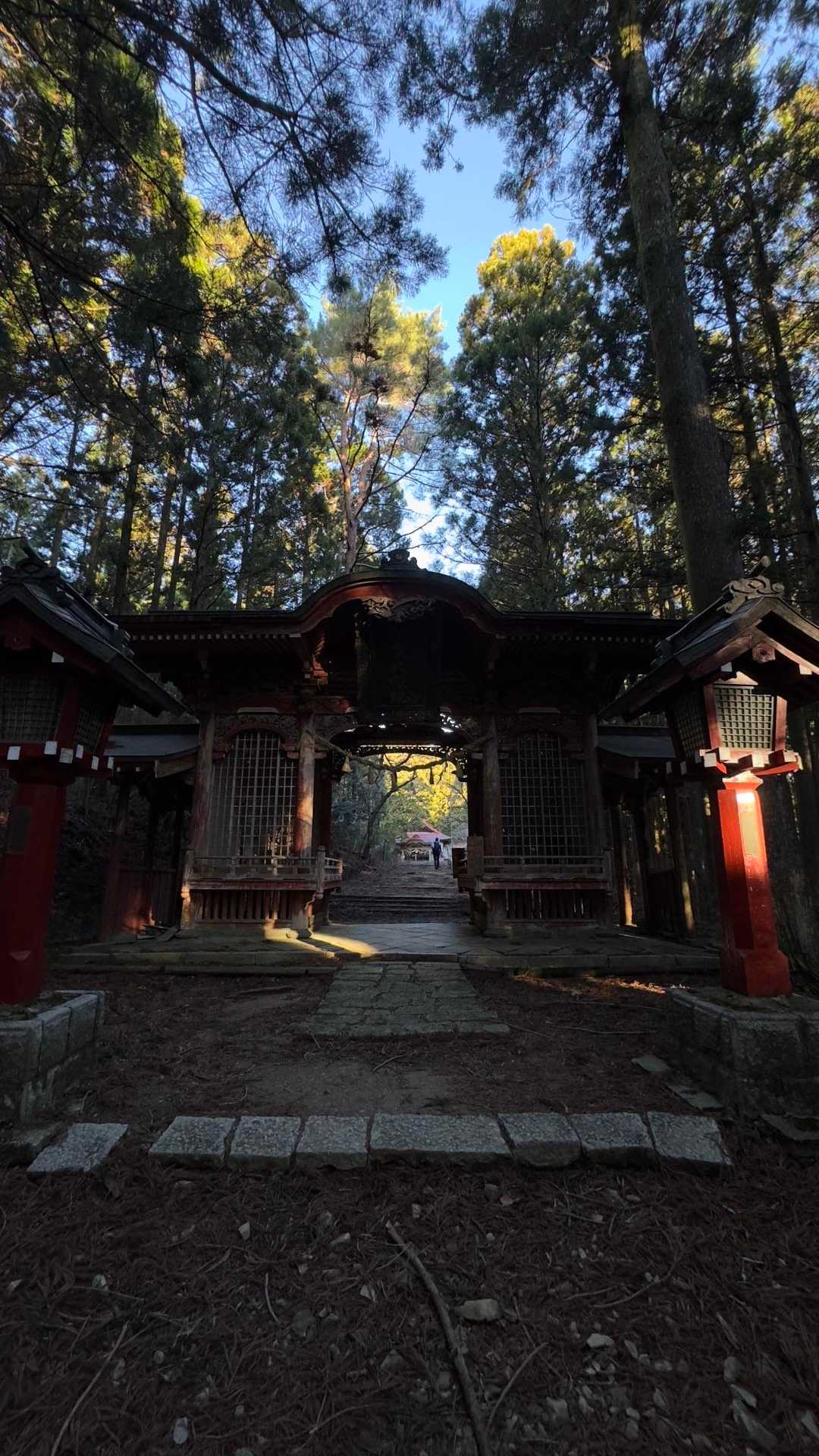 秋葉山上社へ初詣ハイク の写真 14