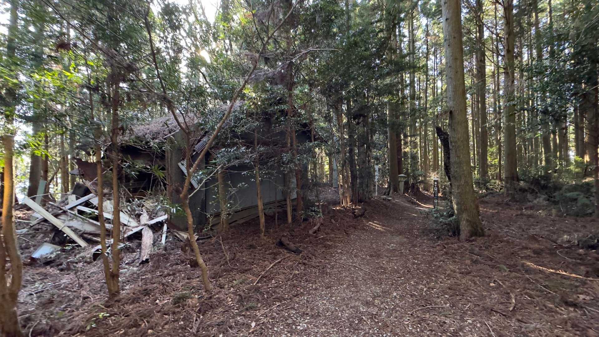 秋葉山上社へ初詣ハイク の写真 25