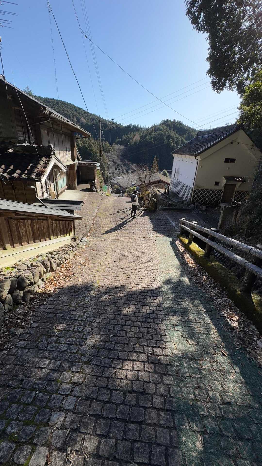 秋葉山上社へ初詣ハイク の写真 27