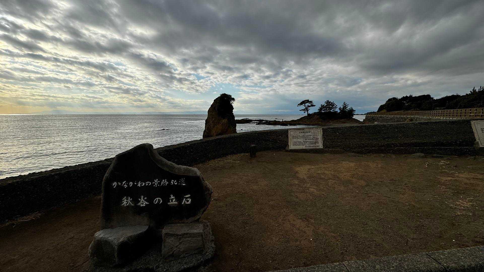 三浦富士・砲台山・武山・大楠山（大楠山・三浦富士ロングトレイル） の写真 50