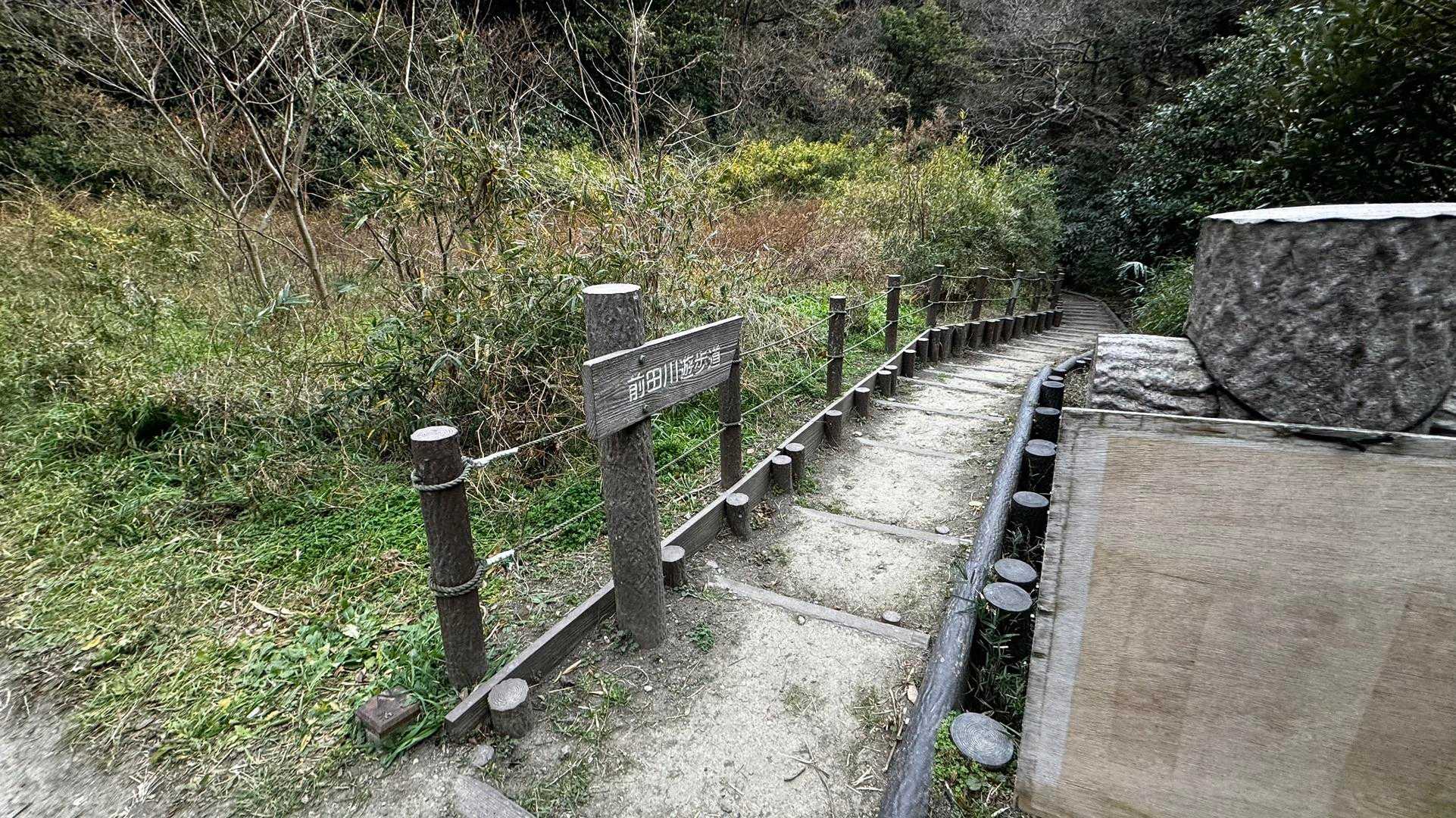 三浦富士・砲台山・武山・大楠山（大楠山・三浦富士ロングトレイル） の写真 48