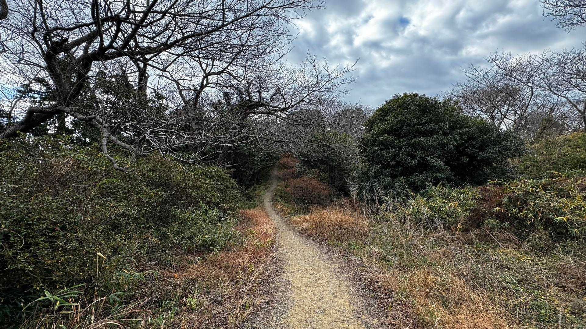 三浦富士・砲台山・武山・大楠山（大楠山・三浦富士ロングトレイル） の写真 45
