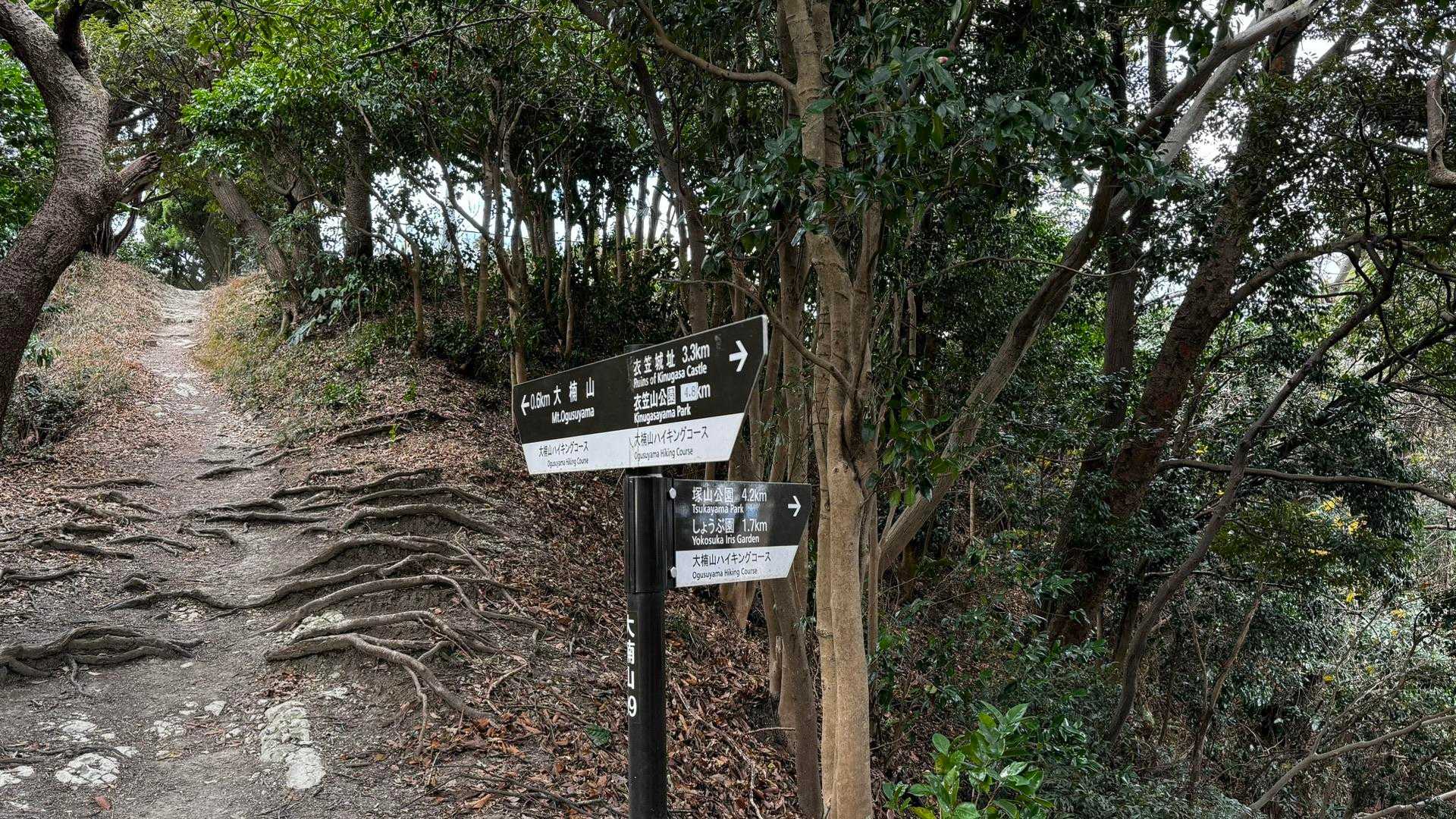 三浦富士・砲台山・武山・大楠山（大楠山・三浦富士ロングトレイル） の写真 34