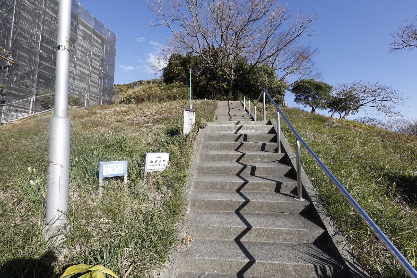 三浦富士・砲台山・武山・大楠山（大楠山・三浦富士ロングトレイル） の写真 2