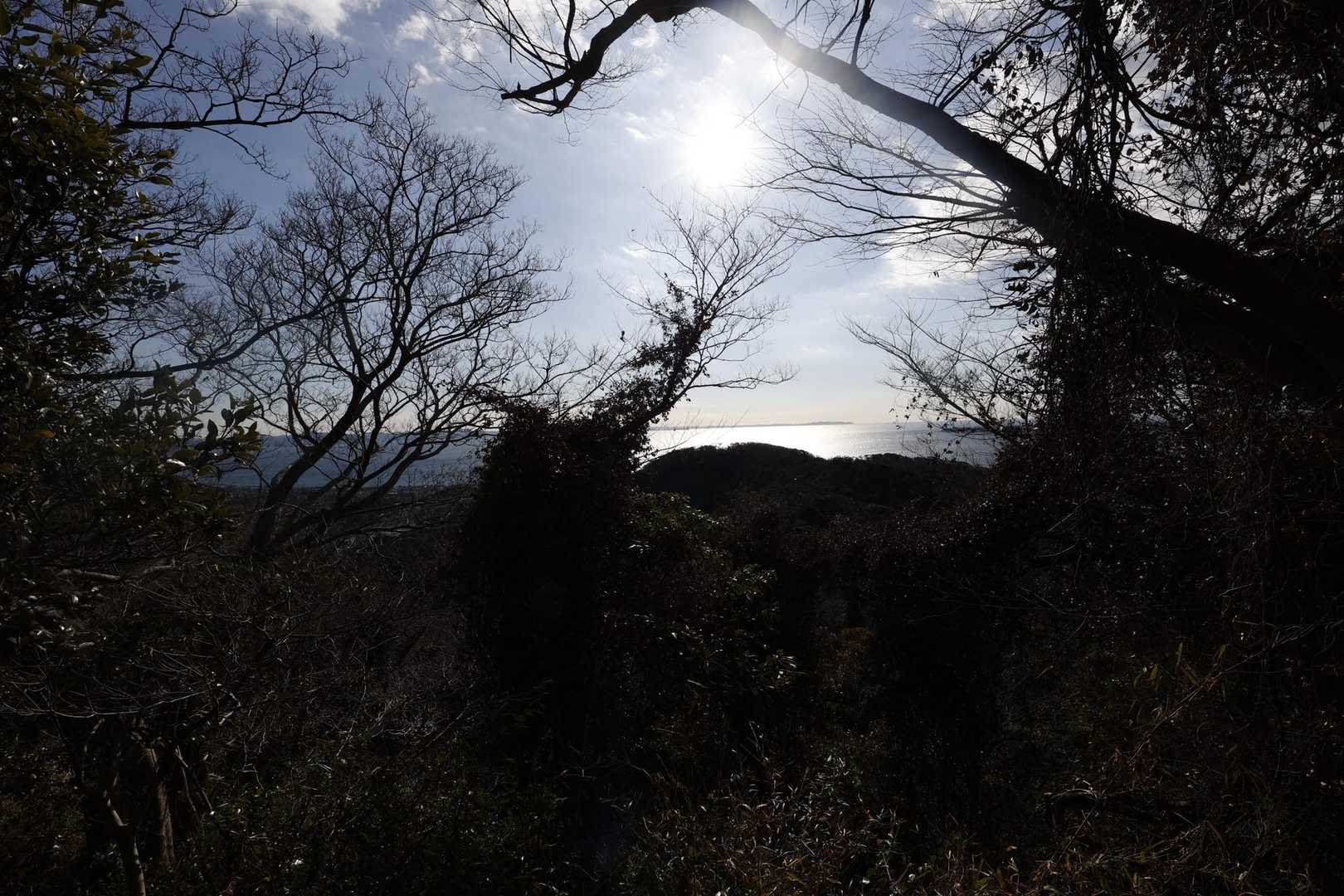 三浦富士・砲台山・武山・大楠山（大楠山・三浦富士ロングトレイル） の写真 6