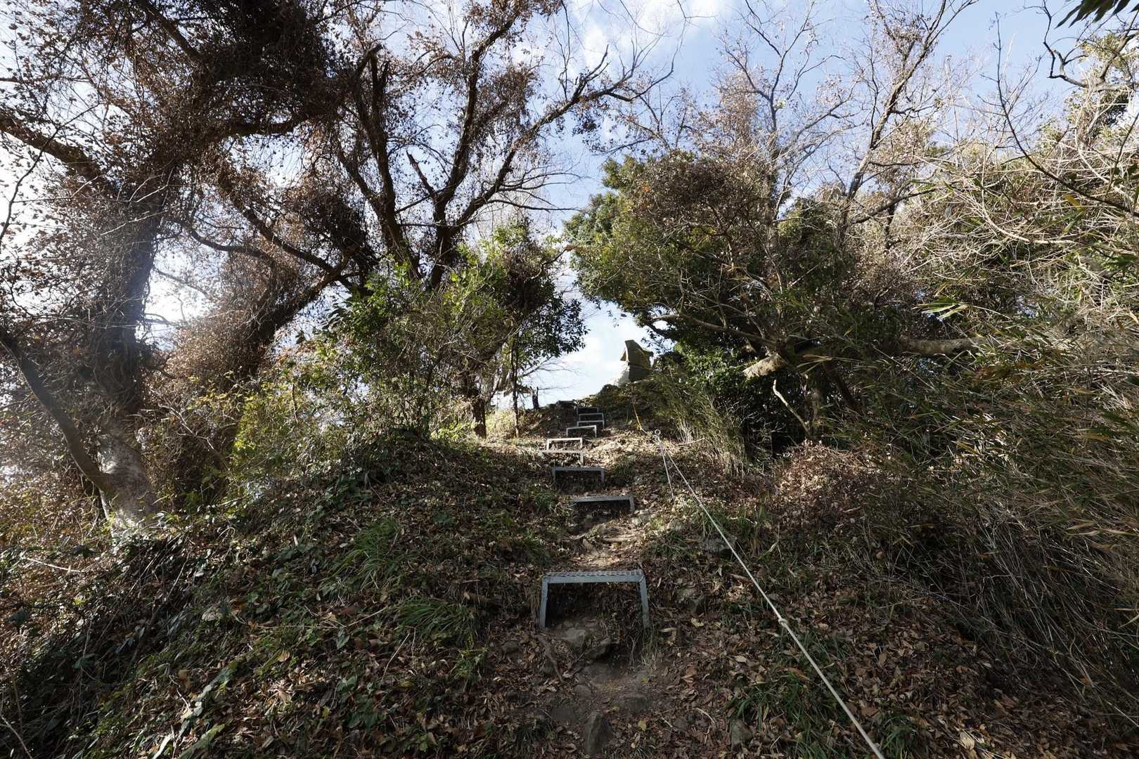 三浦富士・砲台山・武山・大楠山（大楠山・三浦富士ロングトレイル） の写真 7