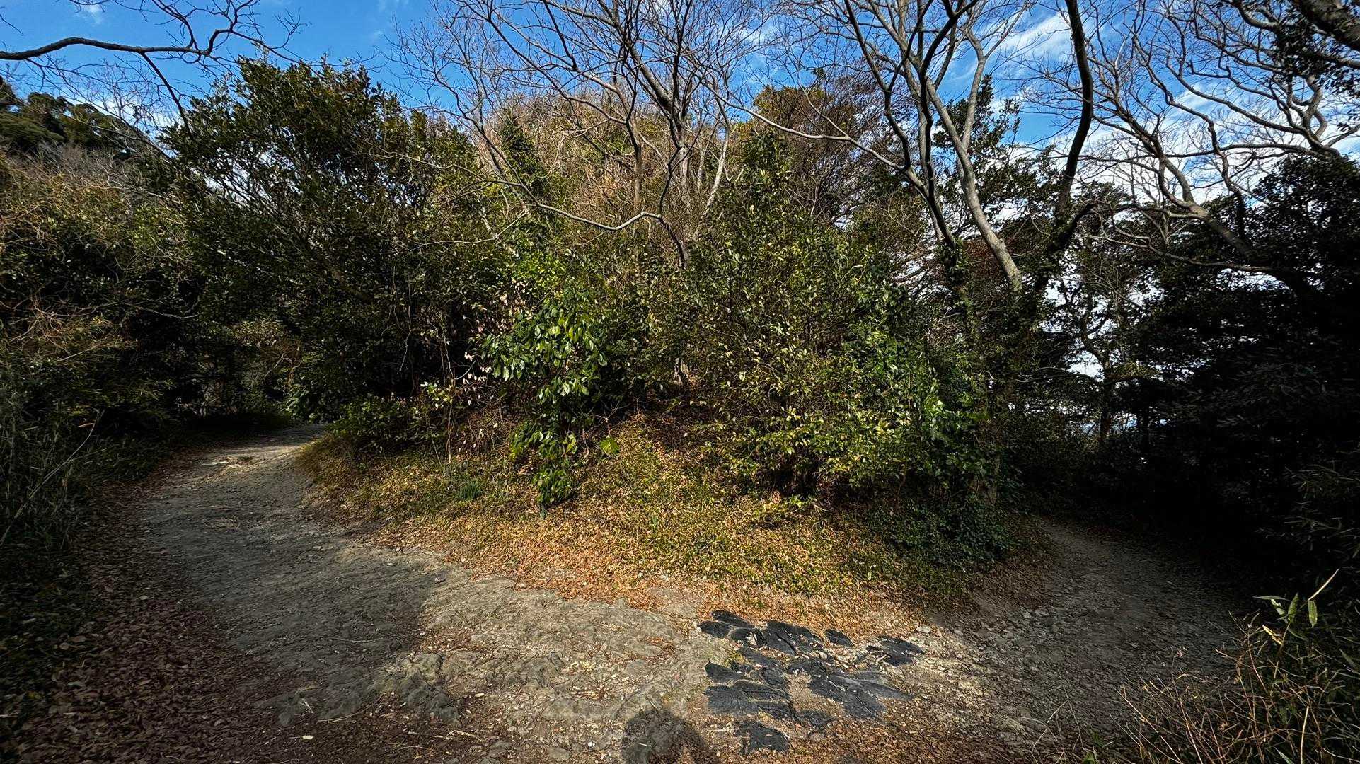三浦富士・砲台山・武山・大楠山（大楠山・三浦富士ロングトレイル） の写真 13