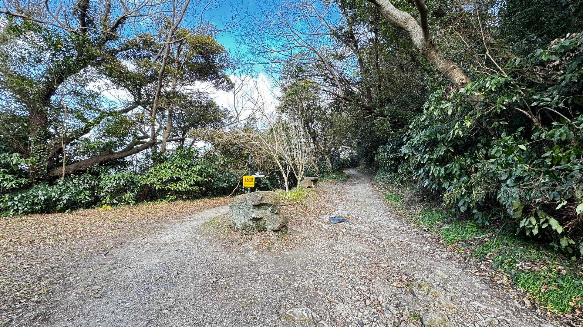 三浦富士・砲台山・武山・大楠山（大楠山・三浦富士ロングトレイル） の写真 14