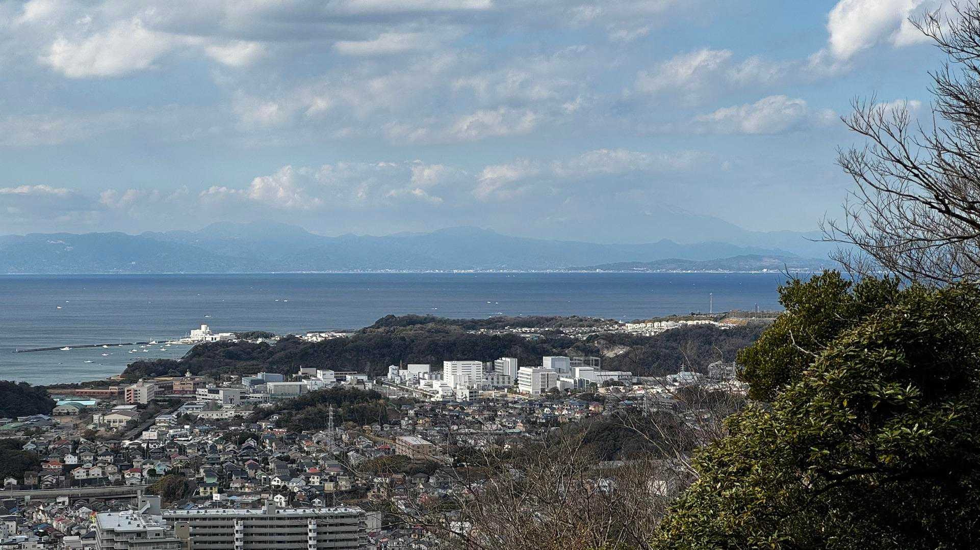 三浦富士・砲台山・武山・大楠山（大楠山・三浦富士ロングトレイル） の写真 24