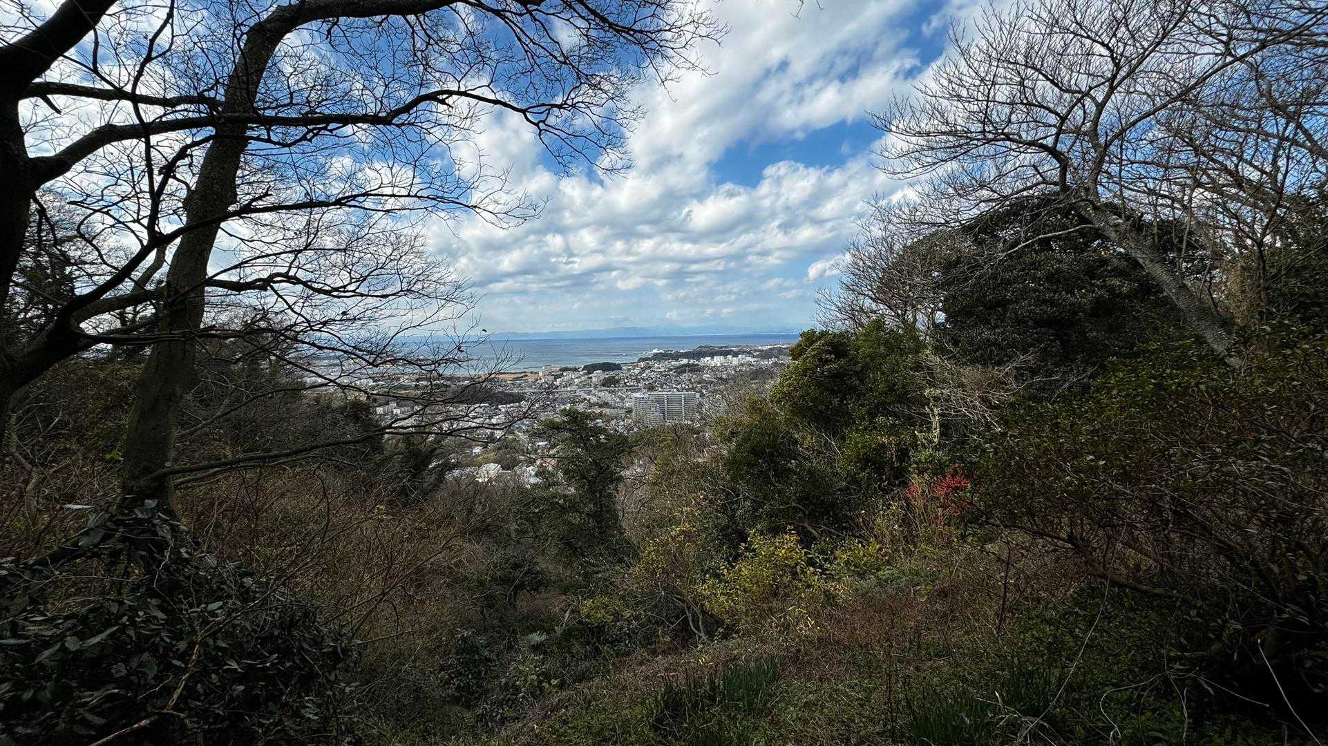 三浦富士・砲台山・武山・大楠山（大楠山・三浦富士ロングトレイル） の写真 23