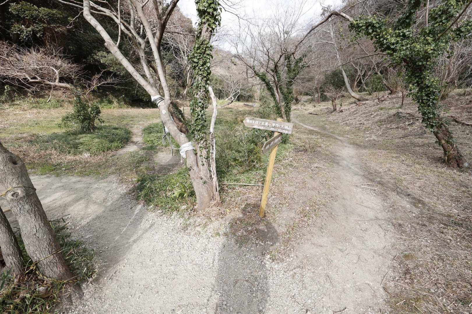 三浦富士・砲台山・武山・大楠山（大楠山・三浦富士ロングトレイル） の写真 27