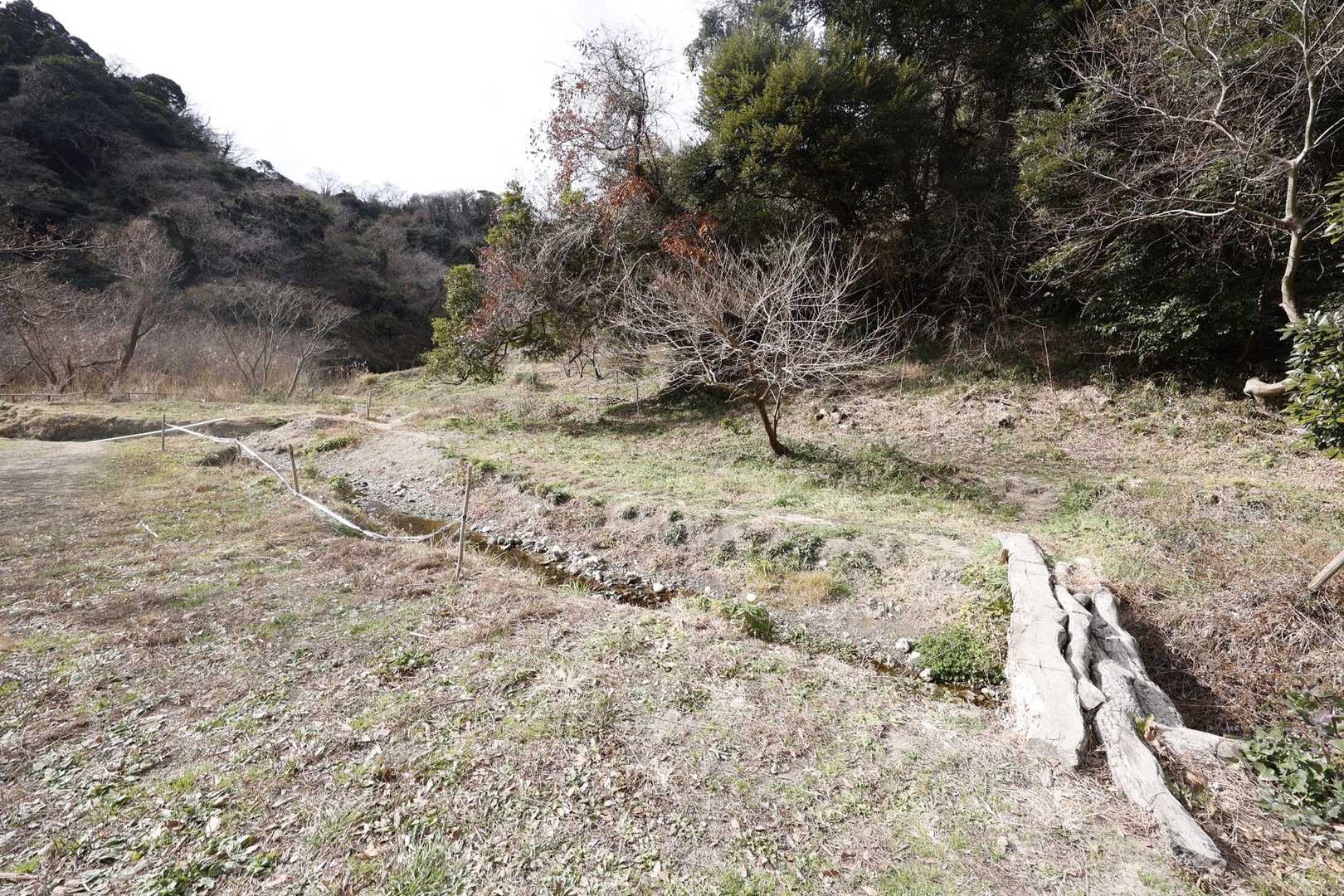 三浦富士・砲台山・武山・大楠山（大楠山・三浦富士ロングトレイル） の写真 28
