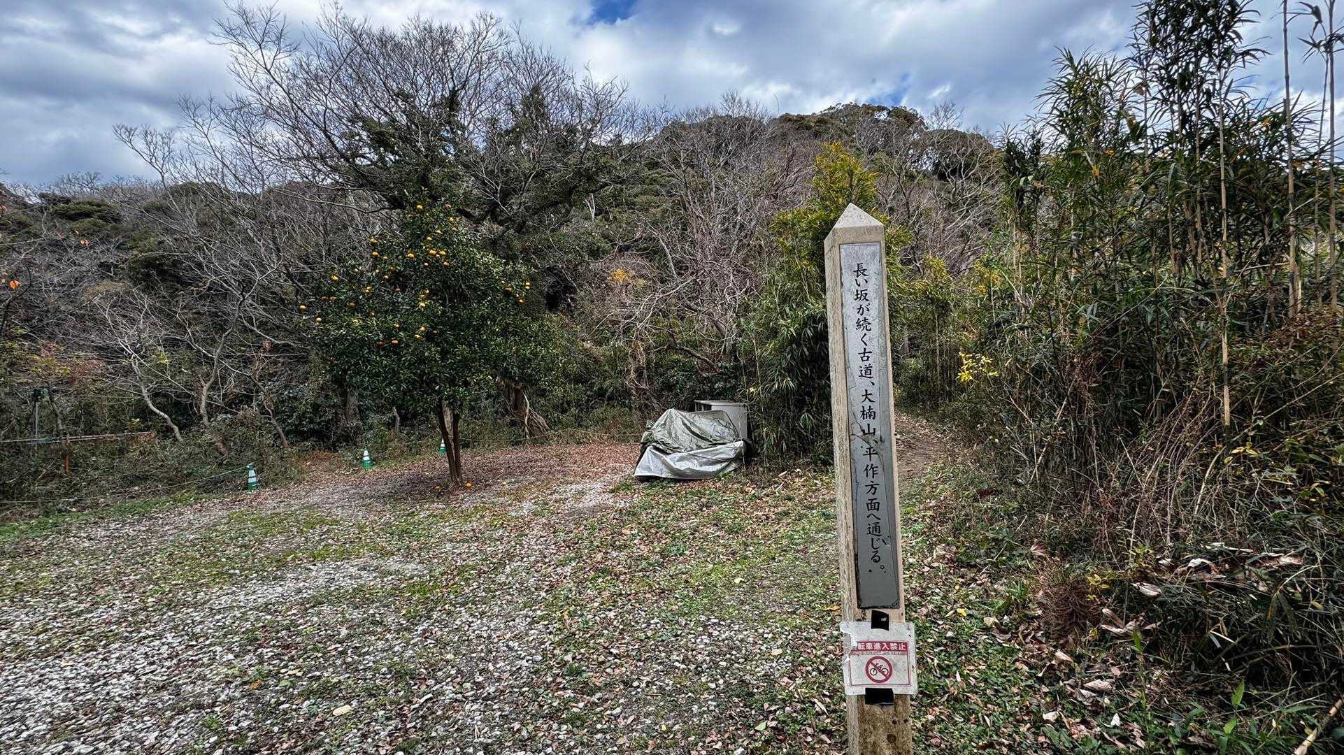 三浦富士・砲台山・武山・大楠山（大楠山・三浦富士ロングトレイル） の写真 31