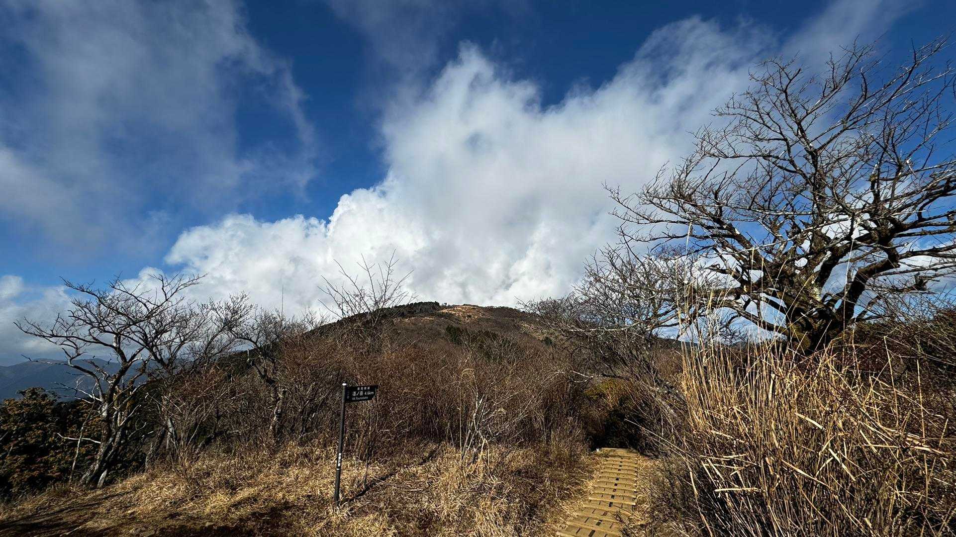 表丹沢縦走（二ノ塔・三ノ塔・塔ノ岳） の写真 3