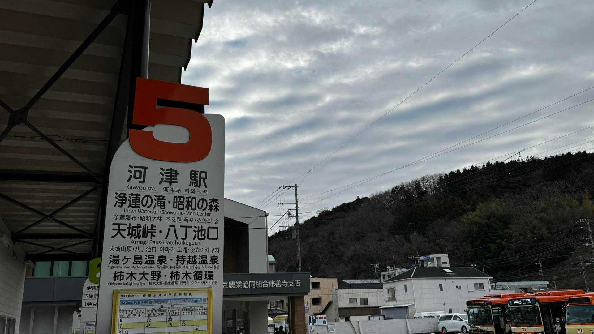 伊豆山陵線トレイル（三蓋山・水呑頭・猫越岳・後藤山・魂の山・棚場山・伽藍山・古稀山・達磨山・小達磨山） の写真 2