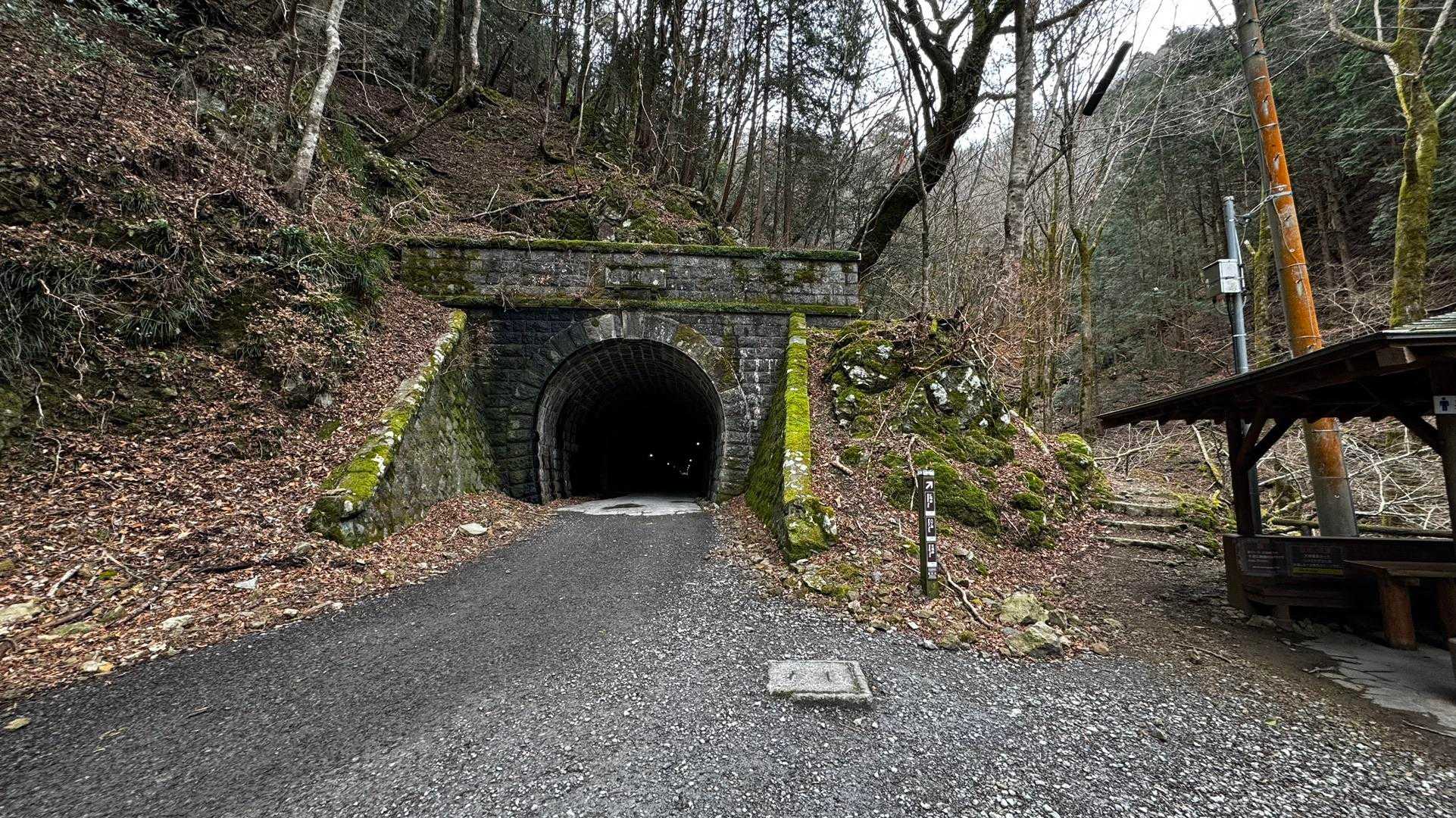 伊豆山陵線トレイル（三蓋山・水呑頭・猫越岳・後藤山・魂の山・棚場山・伽藍山・古稀山・達磨山・小達磨山） の写真 9