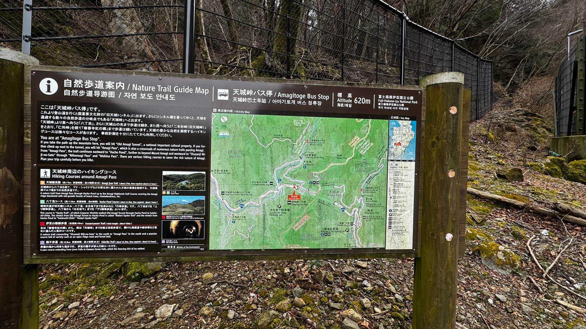 伊豆山陵線トレイル（三蓋山・水呑頭・猫越岳・後藤山・魂の山・棚場山・伽藍山・古稀山・達磨山・小達磨山） の写真 6