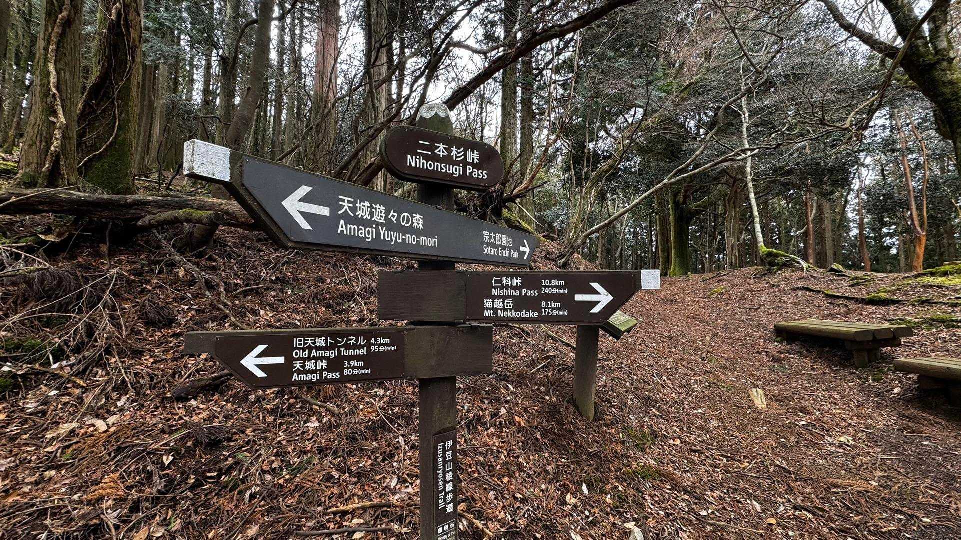 伊豆山陵線トレイル（三蓋山・水呑頭・猫越岳・後藤山・魂の山・棚場山・伽藍山・古稀山・達磨山・小達磨山） の写真 12