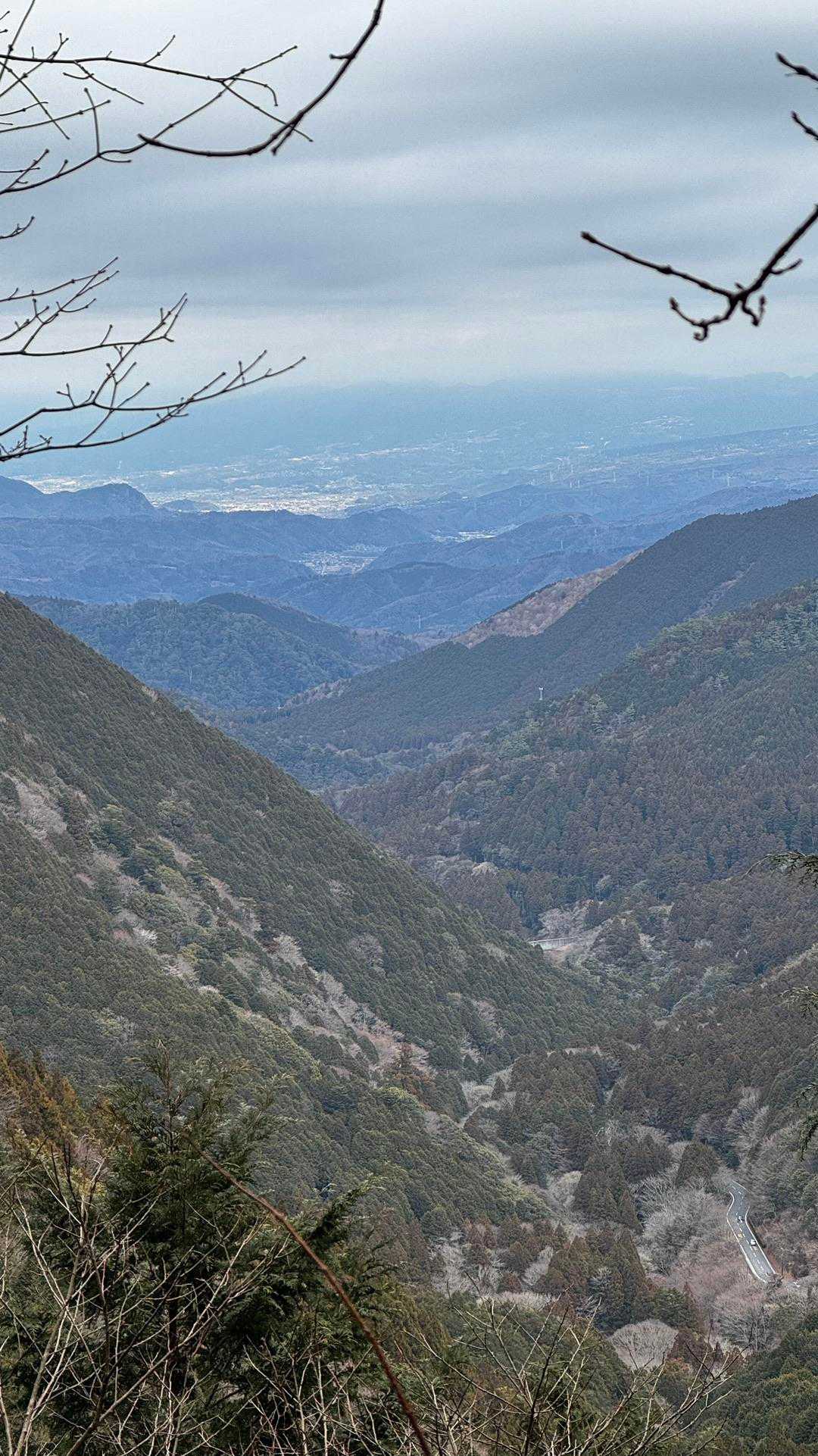 伊豆山陵線トレイル（三蓋山・水呑頭・猫越岳・後藤山・魂の山・棚場山・伽藍山・古稀山・達磨山・小達磨山） の写真 10