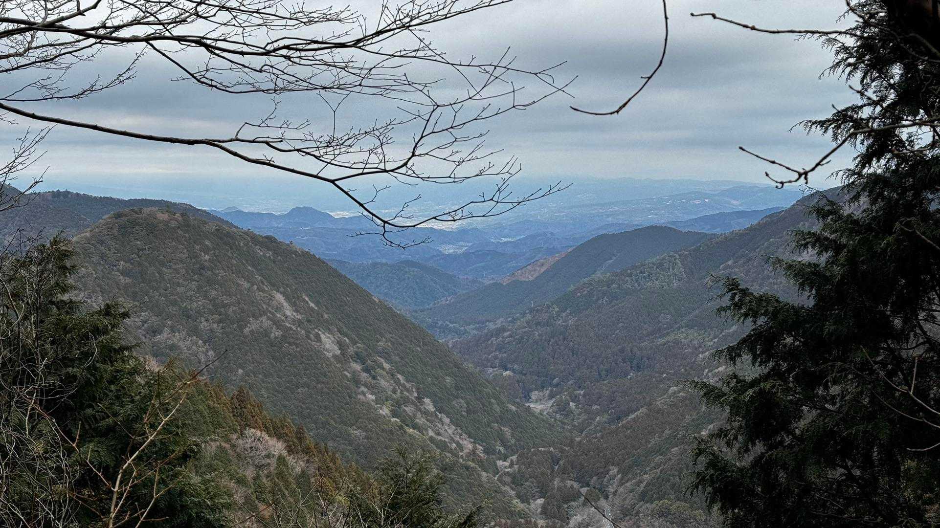 伊豆山陵線トレイル（三蓋山・水呑頭・猫越岳・後藤山・魂の山・棚場山・伽藍山・古稀山・達磨山・小達磨山） の写真 11