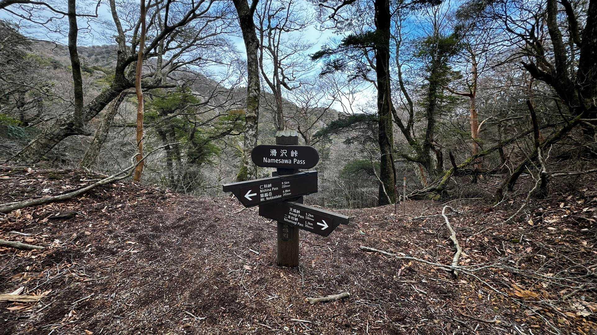 伊豆山陵線トレイル（三蓋山・水呑頭・猫越岳・後藤山・魂の山・棚場山・伽藍山・古稀山・達磨山・小達磨山） の写真 15