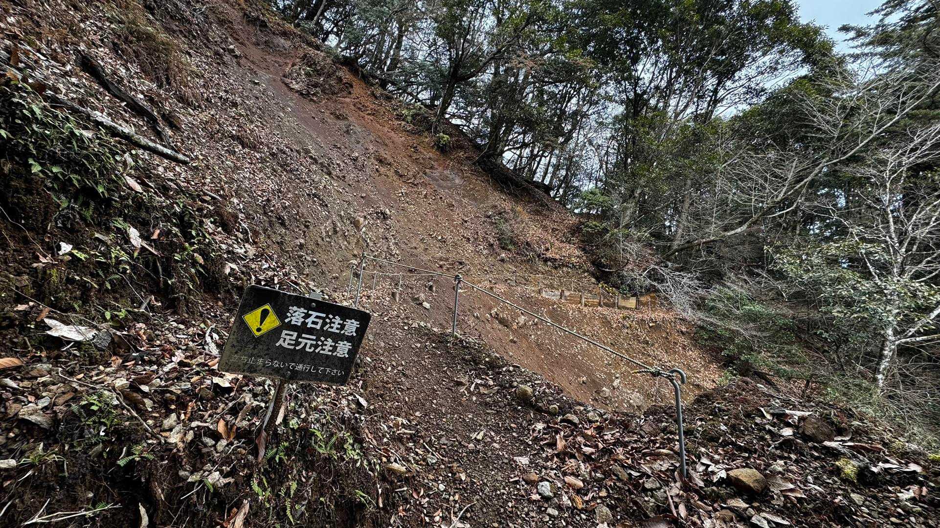 伊豆山陵線トレイル（三蓋山・水呑頭・猫越岳・後藤山・魂の山・棚場山・伽藍山・古稀山・達磨山・小達磨山） の写真 16