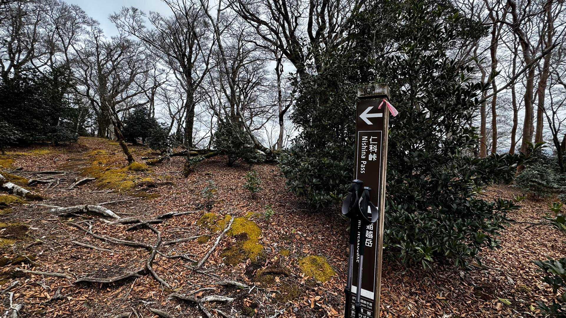 伊豆山陵線トレイル（三蓋山・水呑頭・猫越岳・後藤山・魂の山・棚場山・伽藍山・古稀山・達磨山・小達磨山） の写真 19