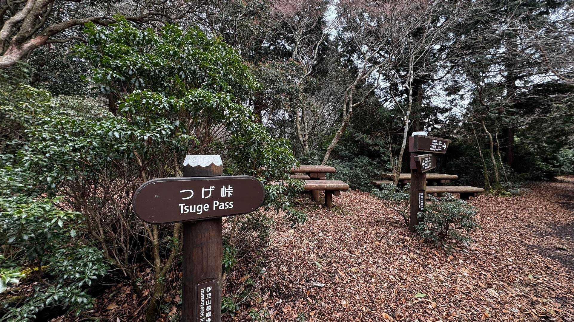 伊豆山陵線トレイル（三蓋山・水呑頭・猫越岳・後藤山・魂の山・棚場山・伽藍山・古稀山・達磨山・小達磨山） の写真 22