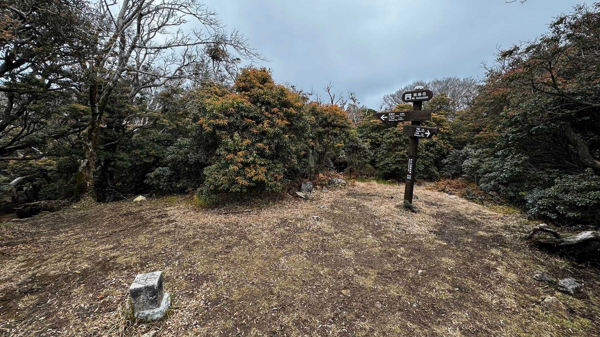 伊豆山陵線トレイル（三蓋山・水呑頭・猫越岳・後藤山・魂の山・棚場山・伽藍山・古稀山・達磨山・小達磨山） の写真 26