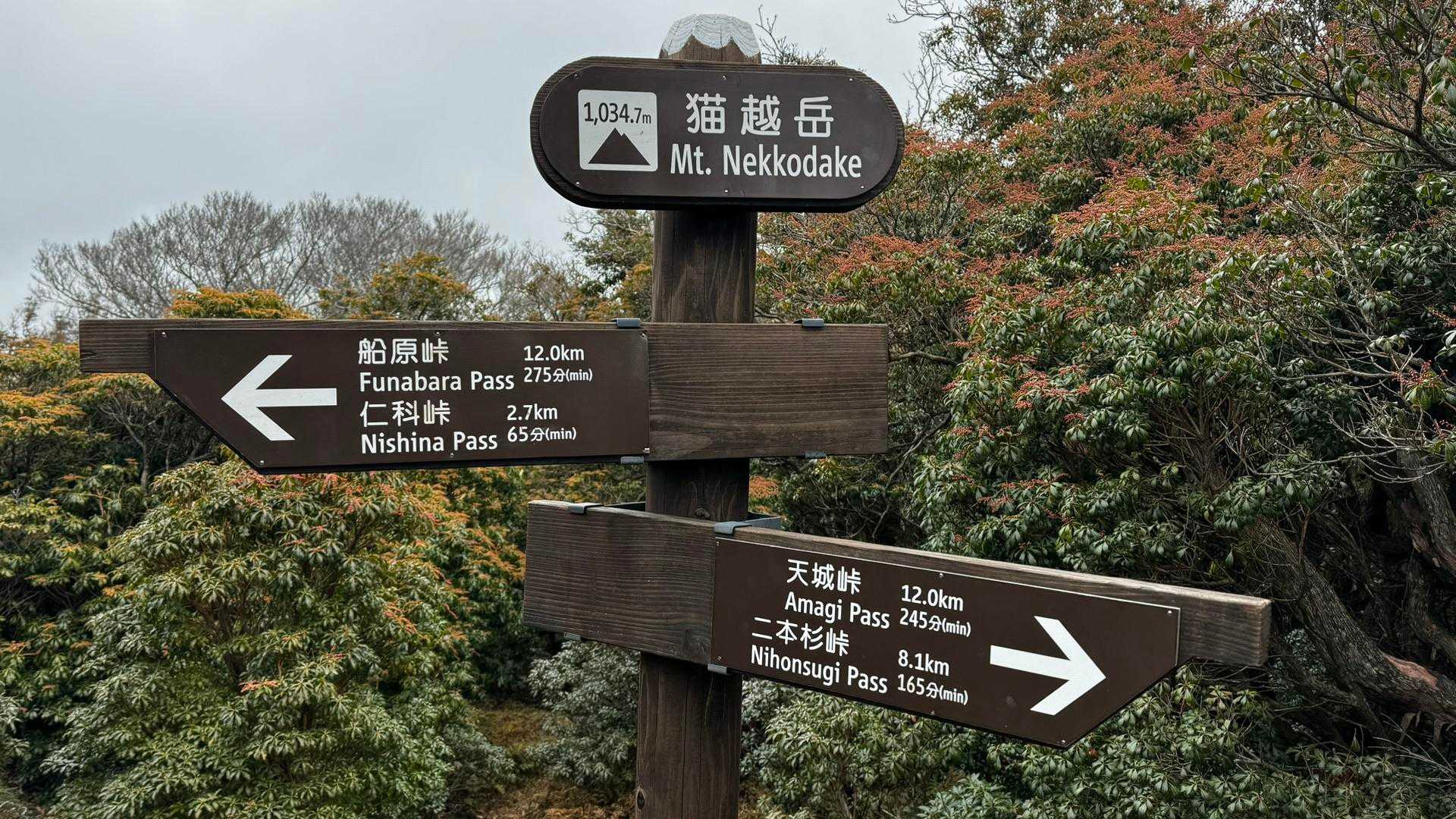 伊豆山陵線トレイル（三蓋山・水呑頭・猫越岳・後藤山・魂の山・棚場山・伽藍山・古稀山・達磨山・小達磨山） の写真 27