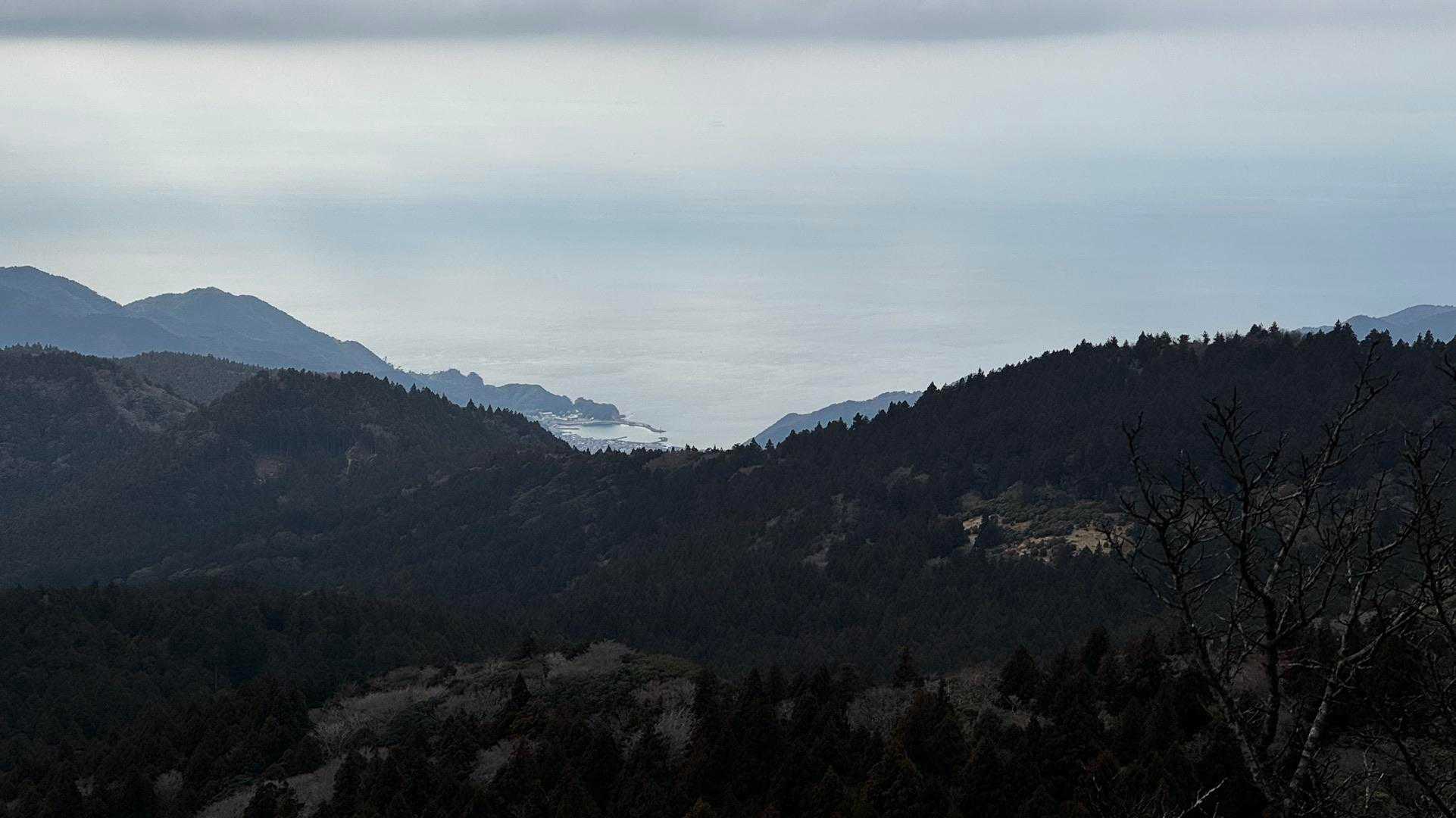 伊豆山陵線トレイル（三蓋山・水呑頭・猫越岳・後藤山・魂の山・棚場山・伽藍山・古稀山・達磨山・小達磨山） の写真 30