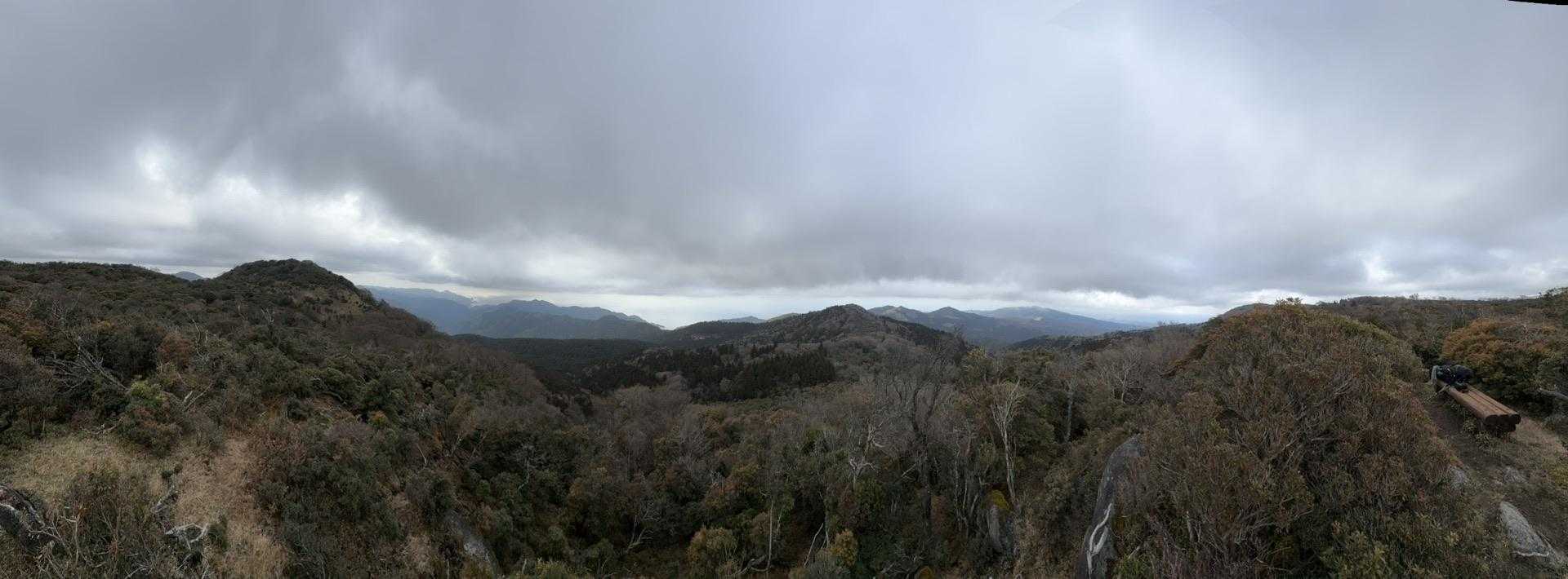 伊豆山陵線トレイル（三蓋山・水呑頭・猫越岳・後藤山・魂の山・棚場山・伽藍山・古稀山・達磨山・小達磨山） の写真 32