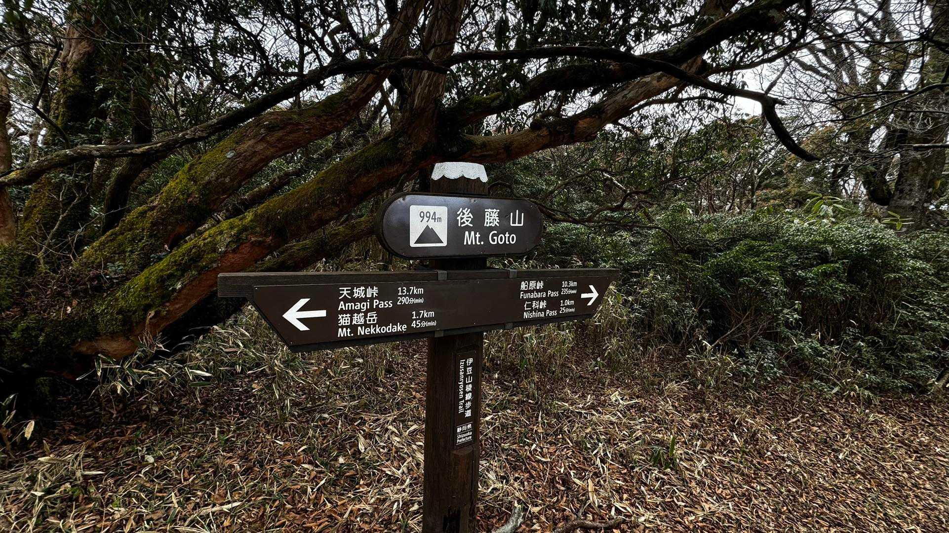 伊豆山陵線トレイル（三蓋山・水呑頭・猫越岳・後藤山・魂の山・棚場山・伽藍山・古稀山・達磨山・小達磨山） の写真 33
