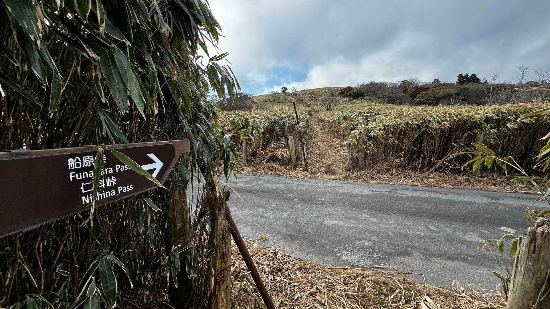 伊豆山陵線トレイル（三蓋山・水呑頭・猫越岳・後藤山・魂の山・棚場山・伽藍山・古稀山・達磨山・小達磨山） の写真 37