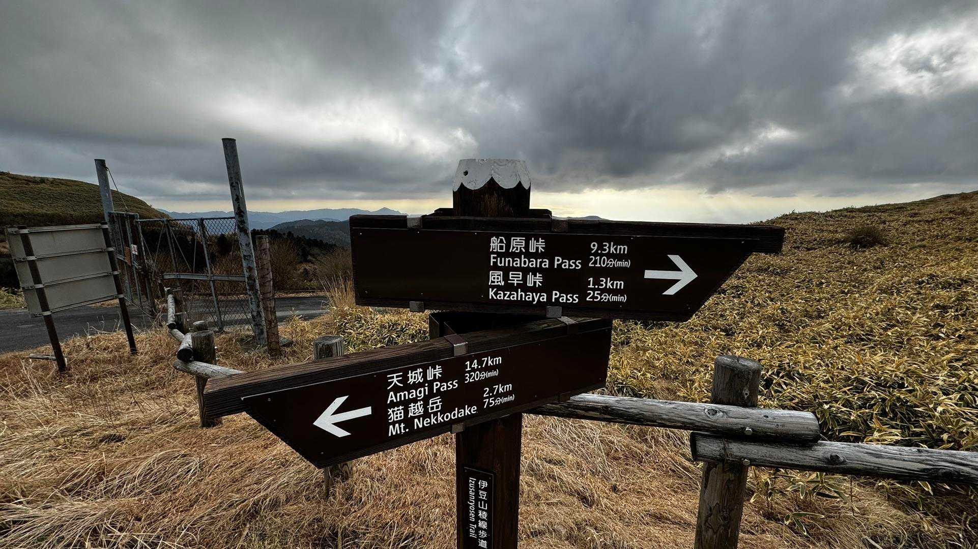 伊豆山陵線トレイル（三蓋山・水呑頭・猫越岳・後藤山・魂の山・棚場山・伽藍山・古稀山・達磨山・小達磨山） の写真 46