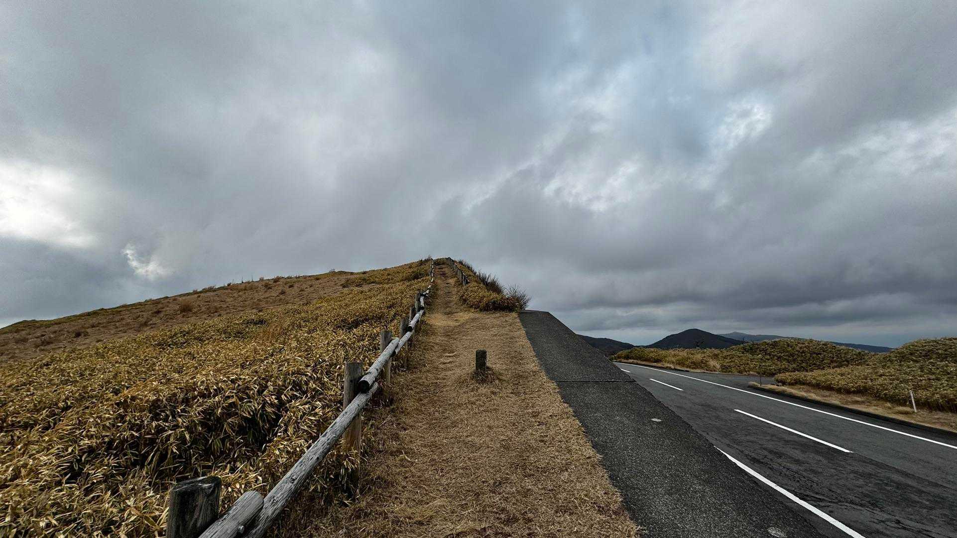 伊豆山陵線トレイル（三蓋山・水呑頭・猫越岳・後藤山・魂の山・棚場山・伽藍山・古稀山・達磨山・小達磨山） の写真 47