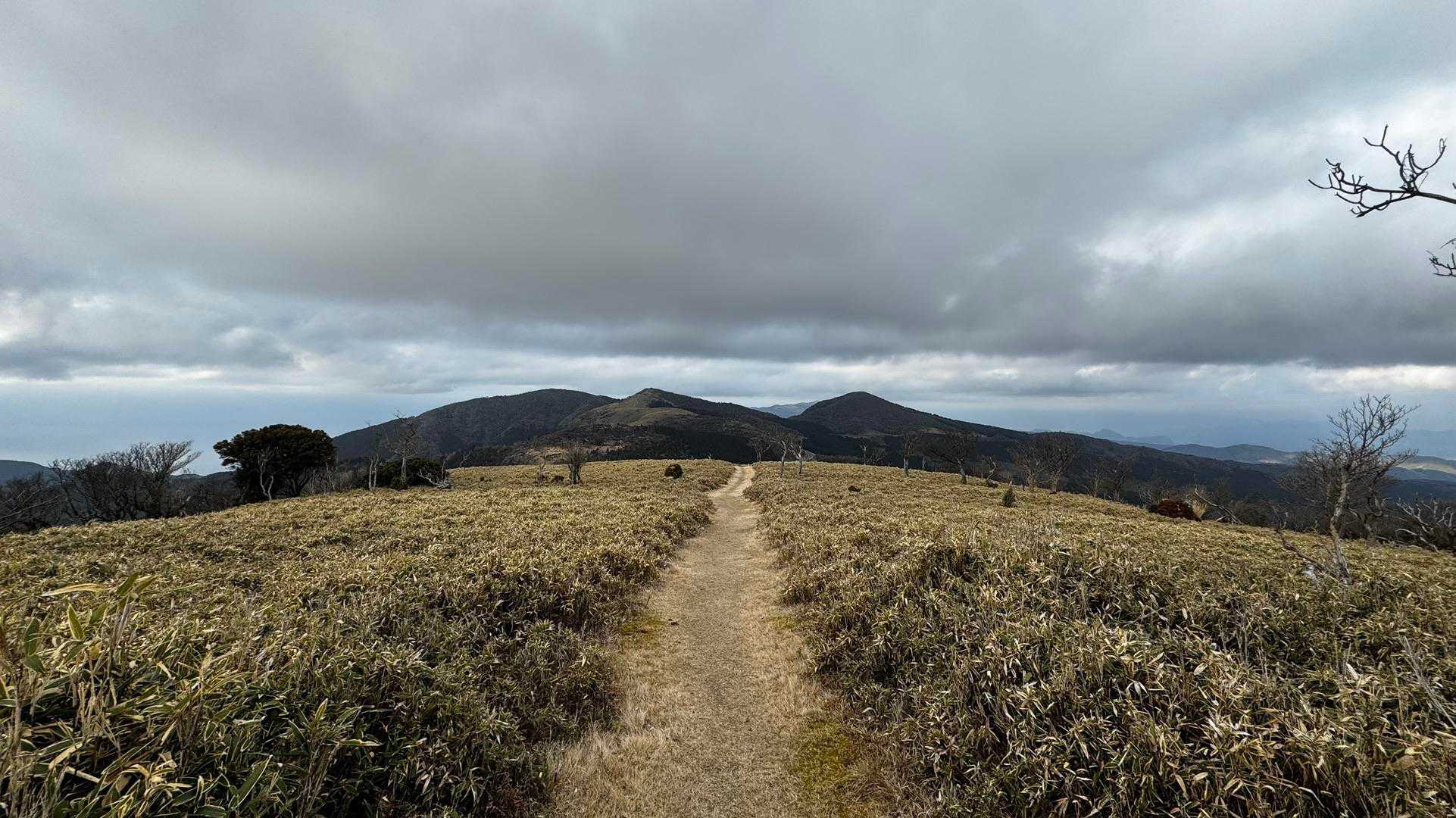 伊豆山陵線トレイル（三蓋山・水呑頭・猫越岳・後藤山・魂の山・棚場山・伽藍山・古稀山・達磨山・小達磨山） の写真 48