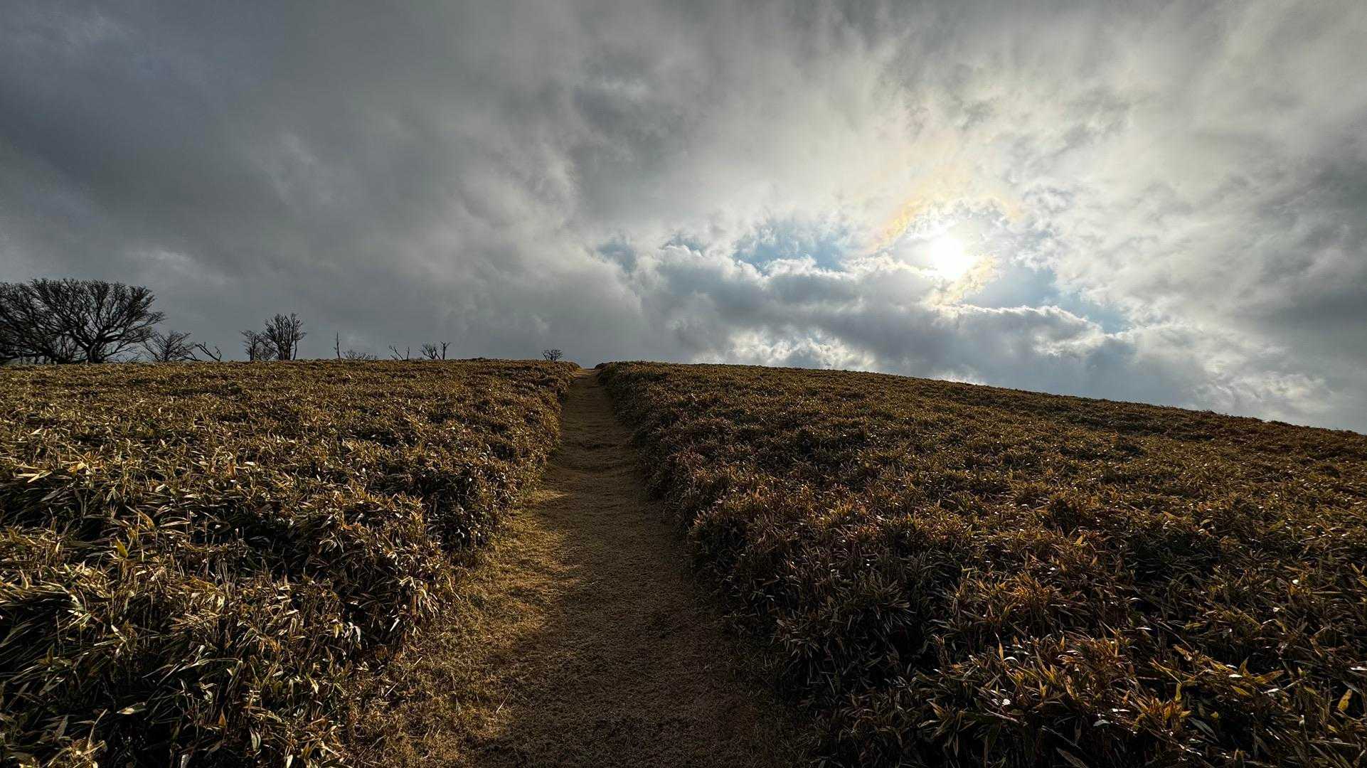 伊豆山陵線トレイル（三蓋山・水呑頭・猫越岳・後藤山・魂の山・棚場山・伽藍山・古稀山・達磨山・小達磨山） の写真 50